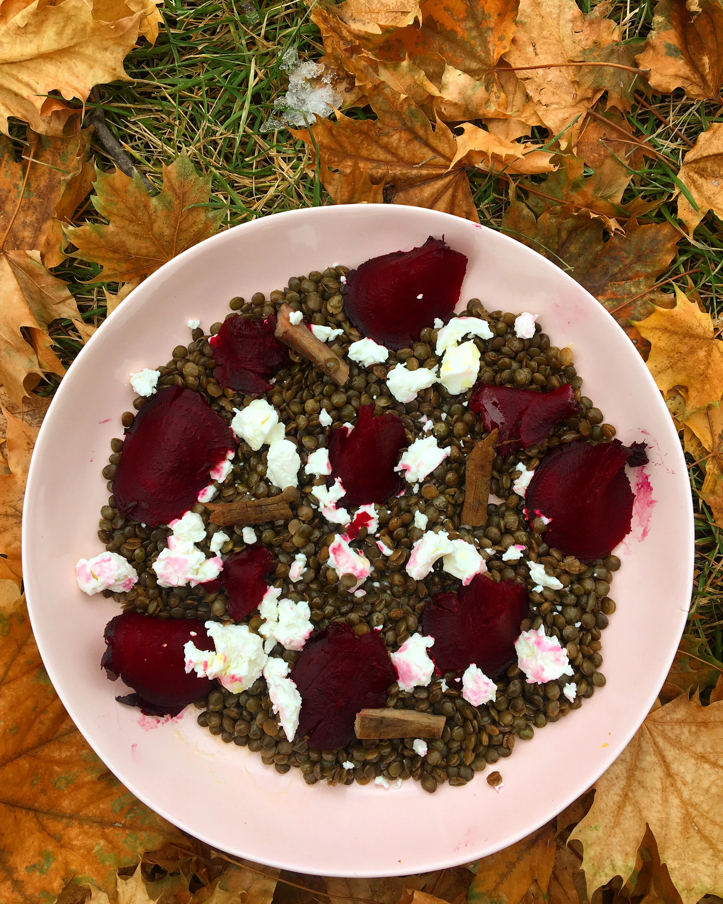 Burdock Infused Lentil Salad with Beets and Goat Cheese