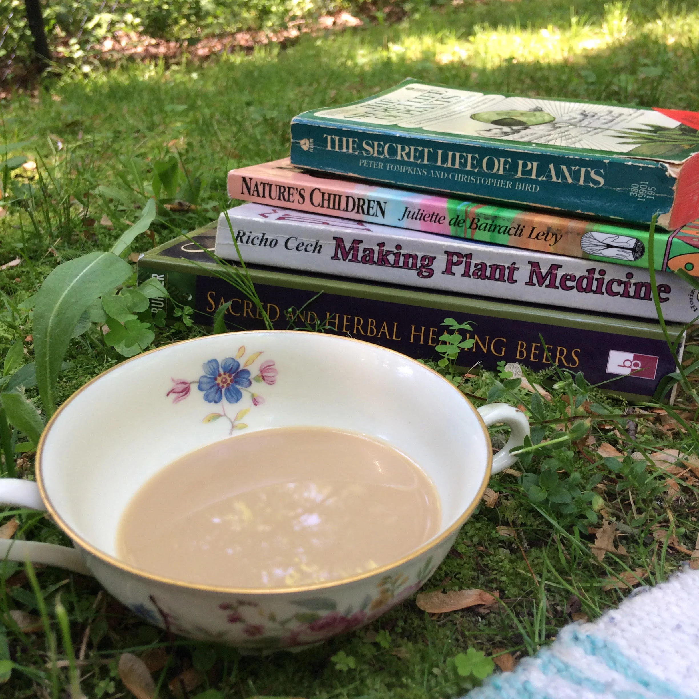 Essential Books for the Burgeoning Plant Nerd