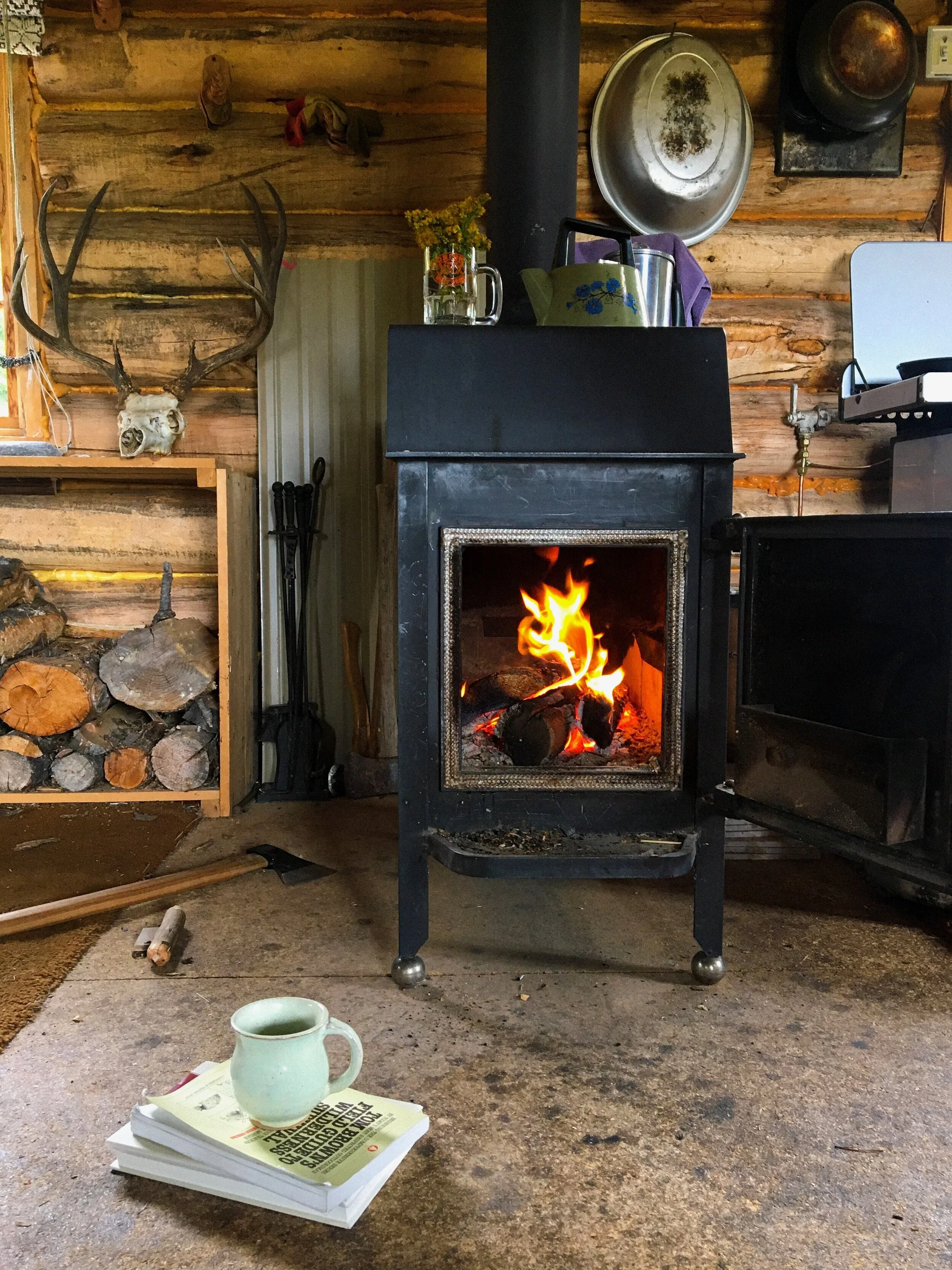 Weekend at the Cabin