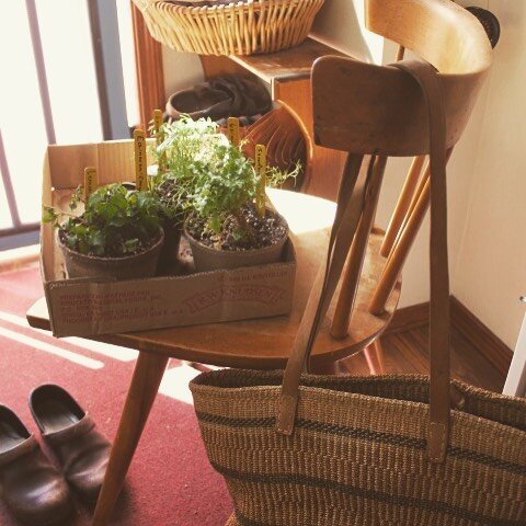 What's in My Bag with Herbalist Audrey Jeanne