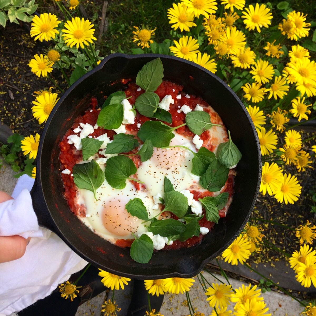 Backyard Herbal Shakshuka