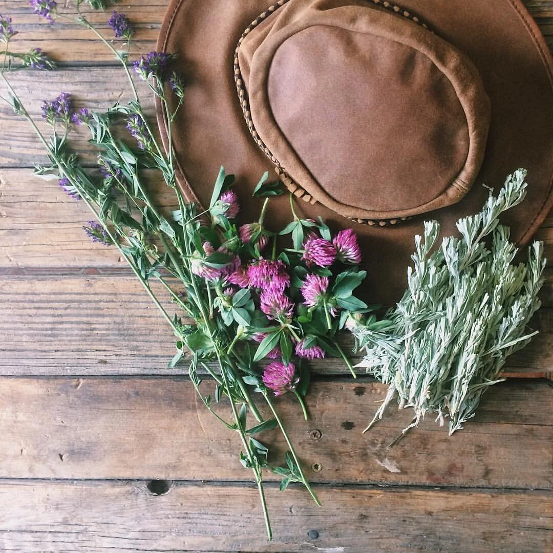 What's in my Bag: Herbalist Edition with Brittany Ducham