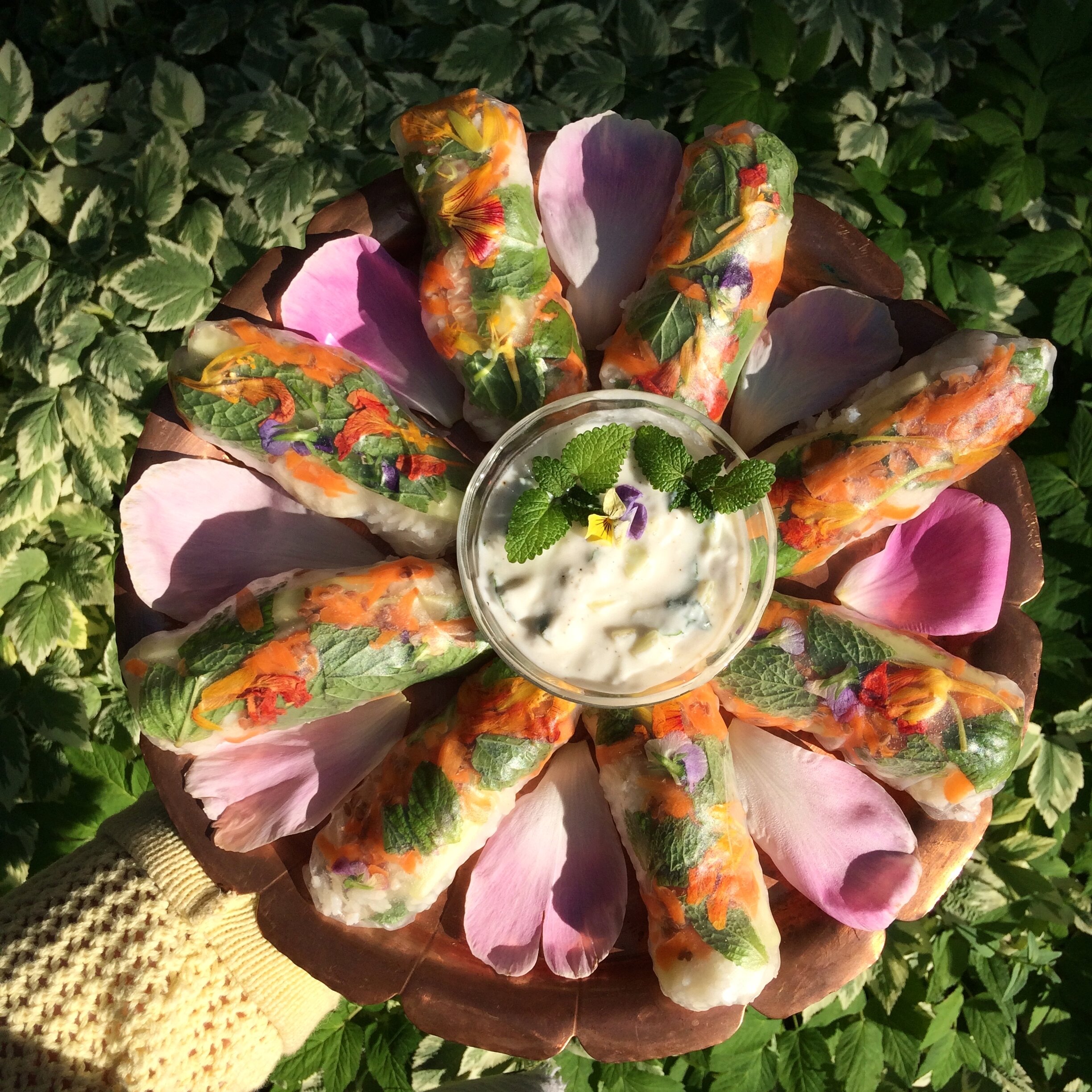 Ginger, Mint Springrolls and Adaptogenic, Lemon Balm Dressing