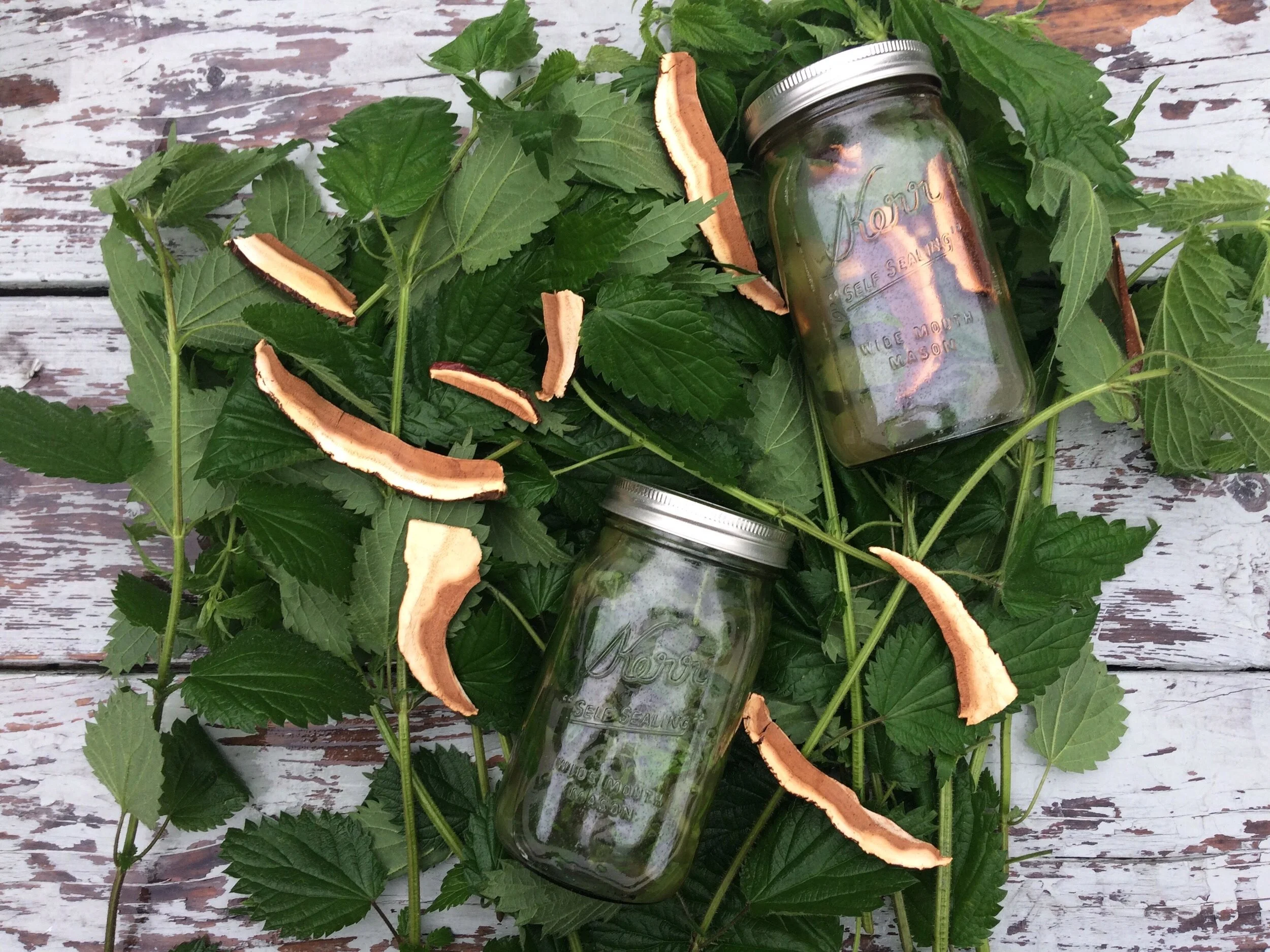 Preserving Spring with Herbal Vinegars
