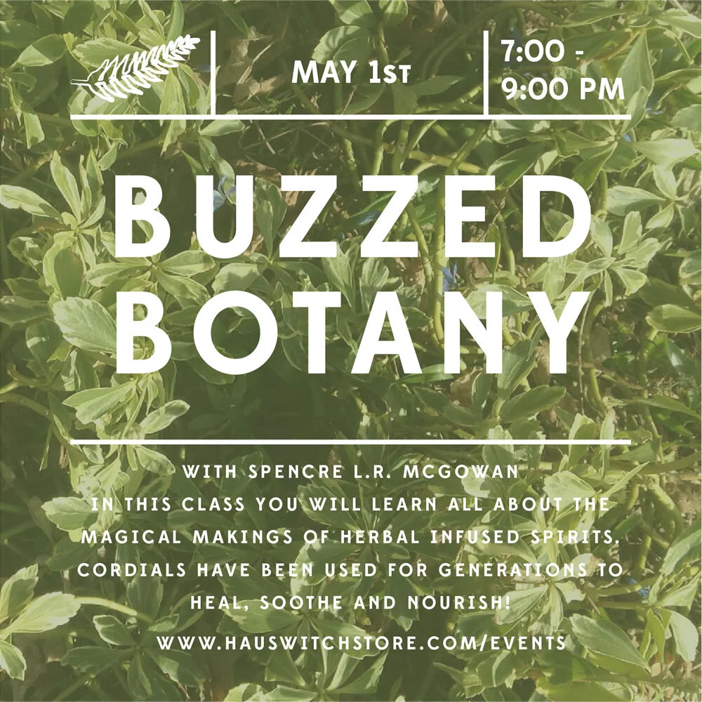 Workshop : Buzzed Botany : Cordial Making!