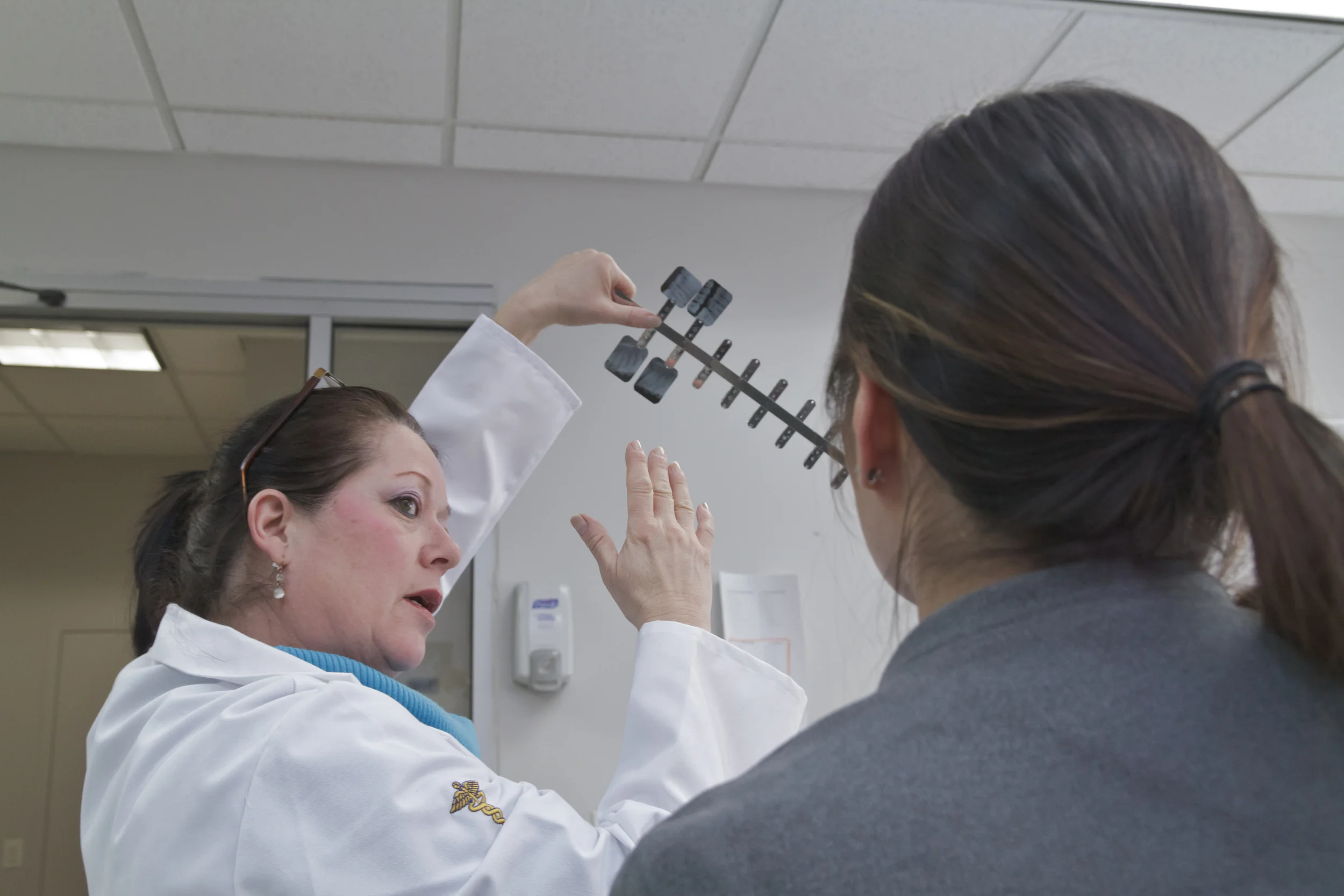nysmda teacher shows nysmda dental student films of teeth