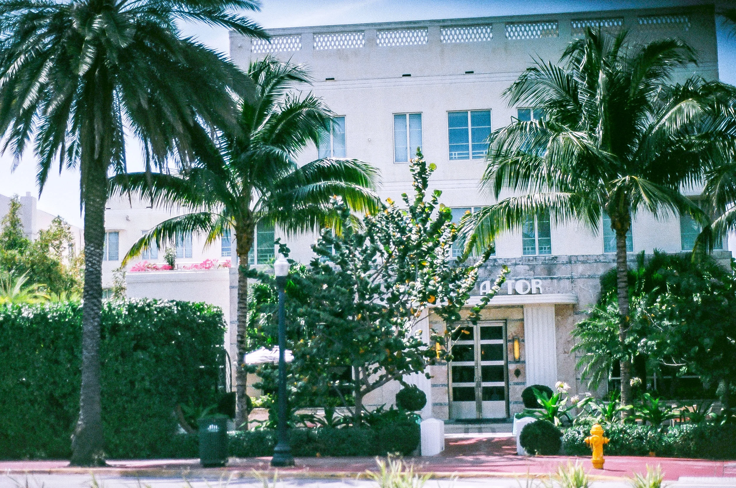 MIA_FILM-13.jpg
