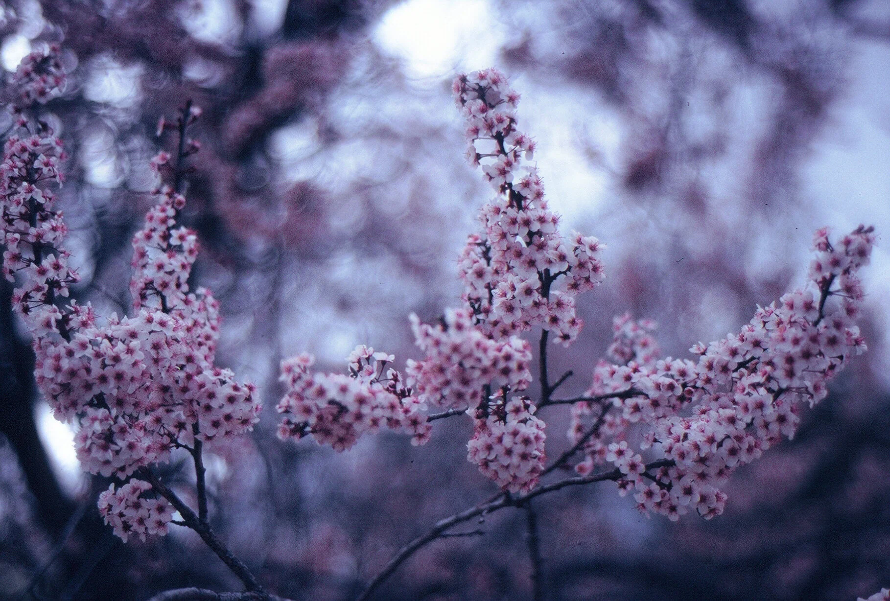 2020Film_Edits-016.jpg