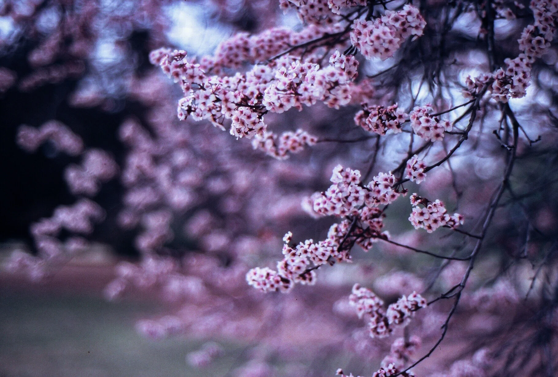 2020Film_Edits-017.jpg