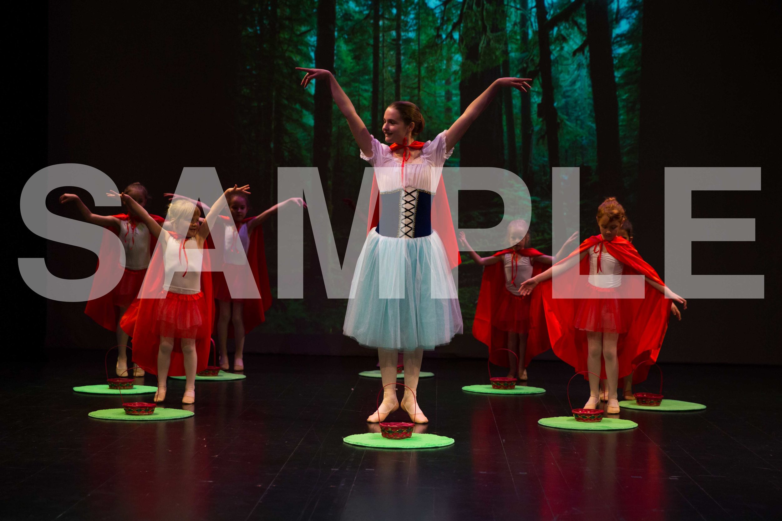Red Riding Hood in the Wood-3970.jpg