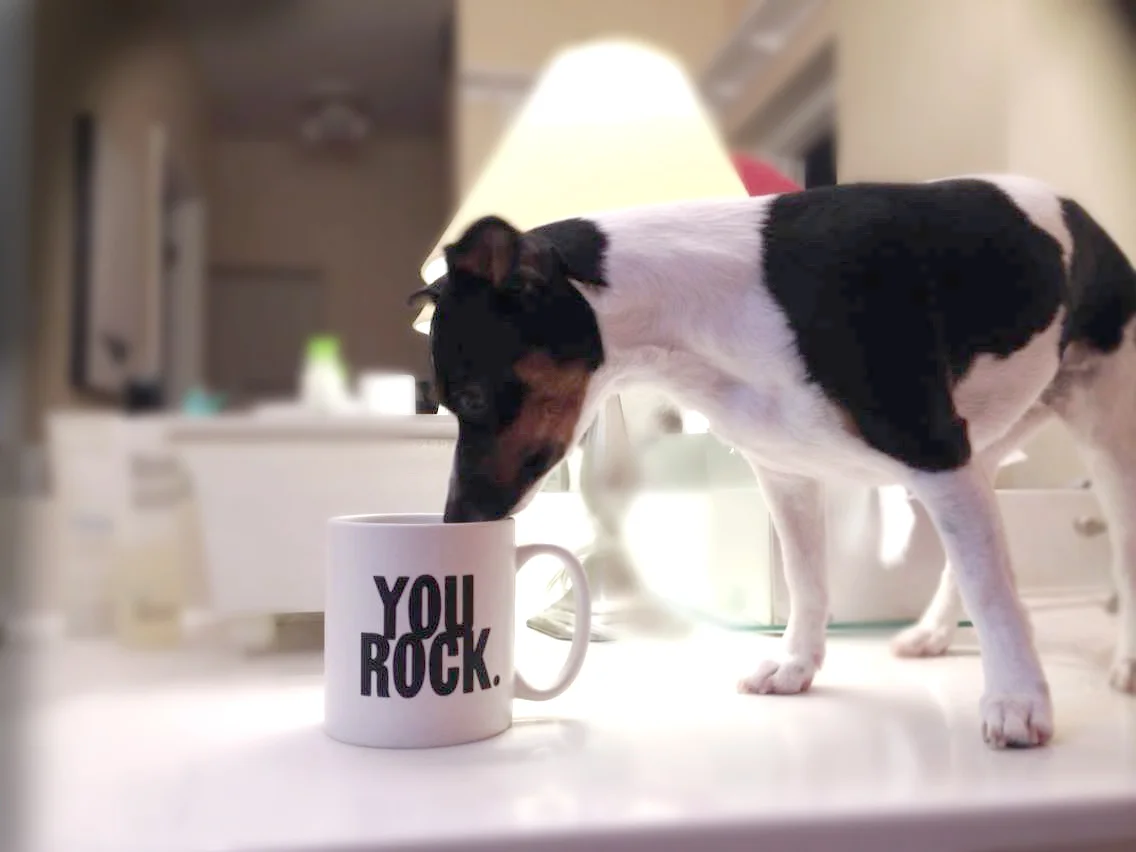 you-rock.jpg