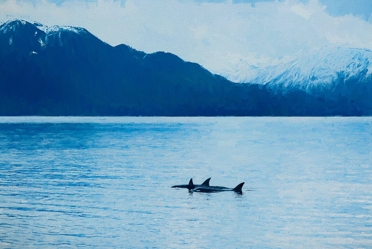 Degas Killer Whales-2.jpg