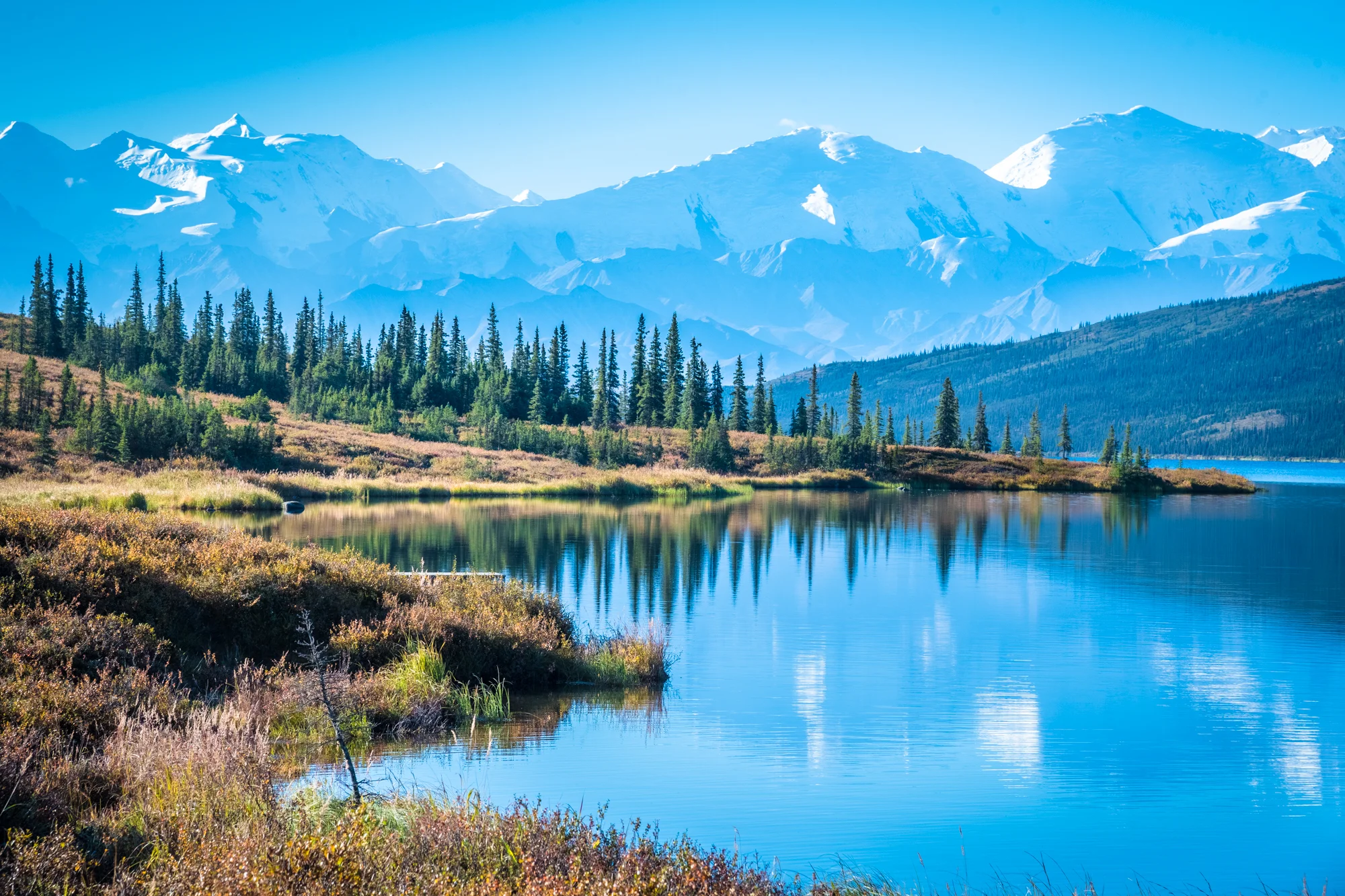 Denali National Park (©Marc Cappelletti)