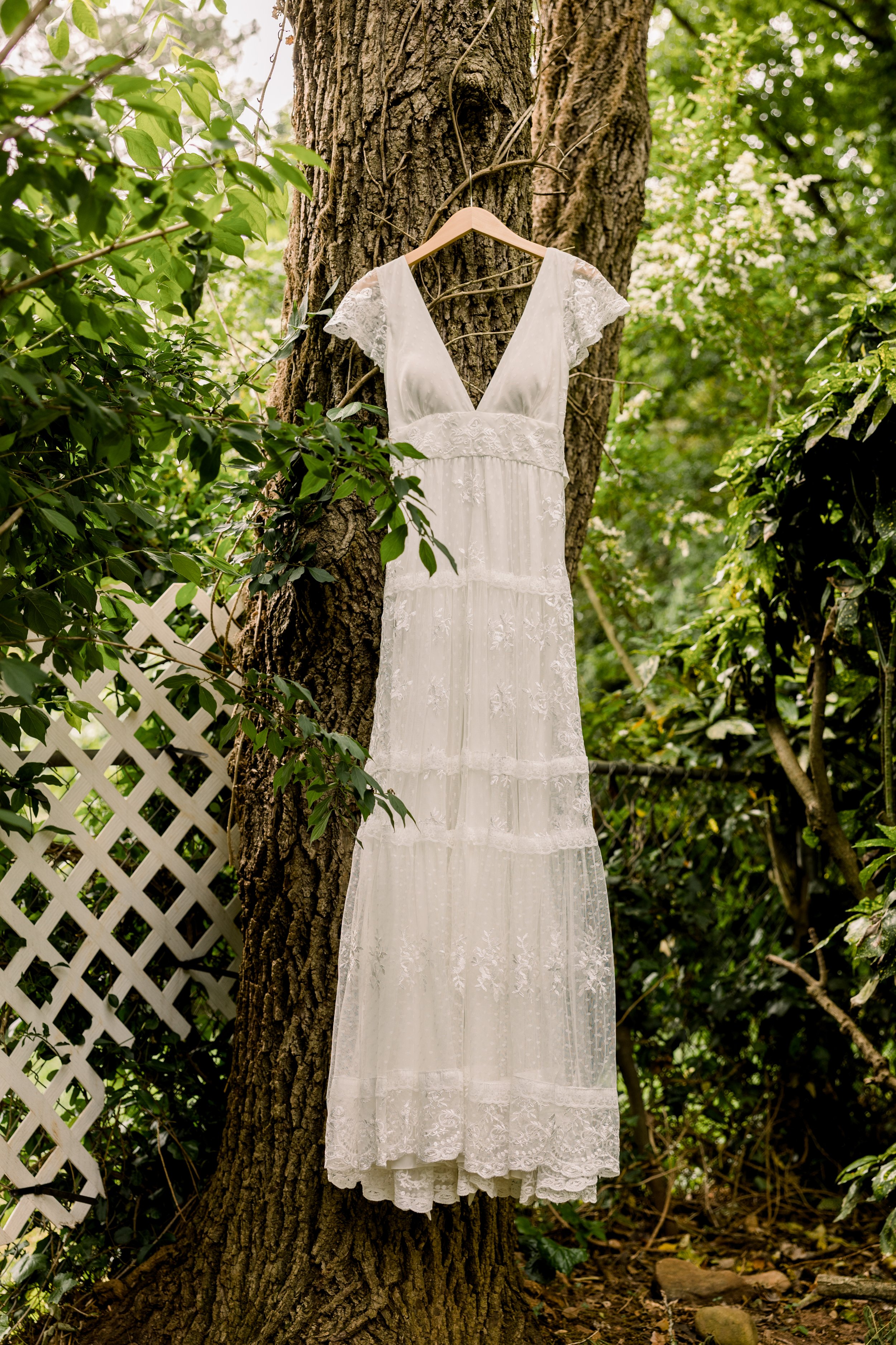 Bride's Dress.jpg
