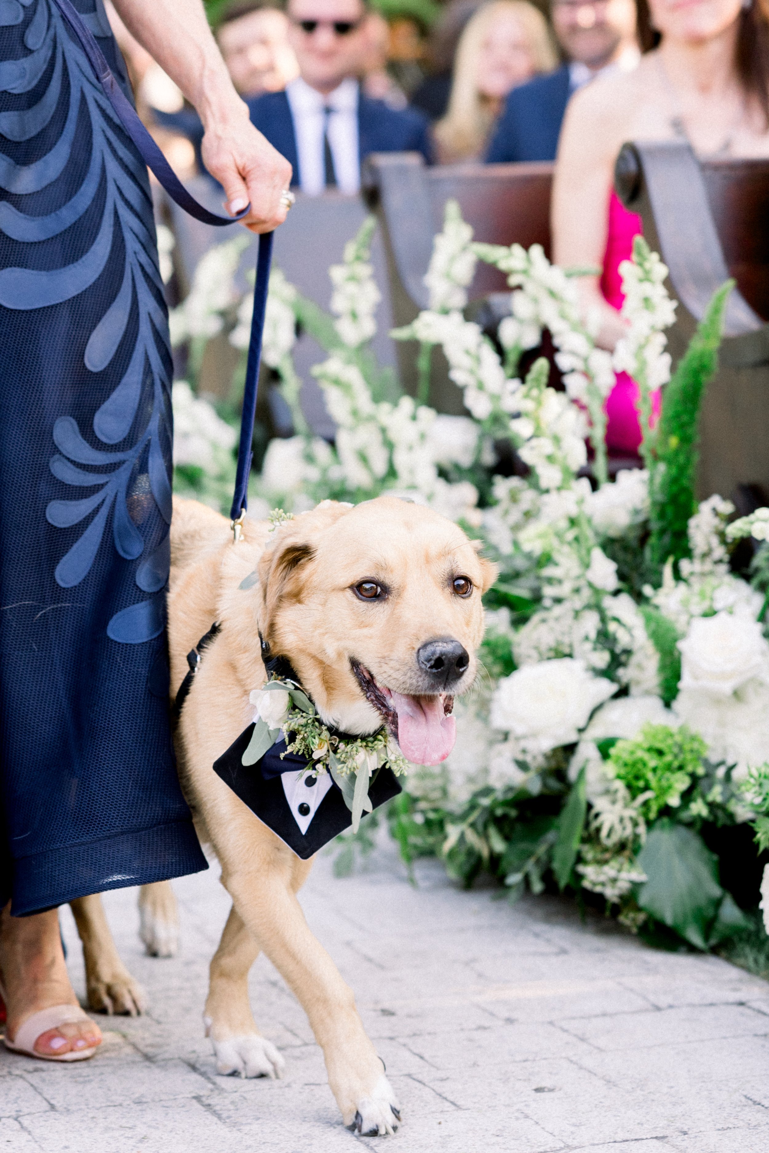 Wedding Ceremony Dog Floral Colar.jpg