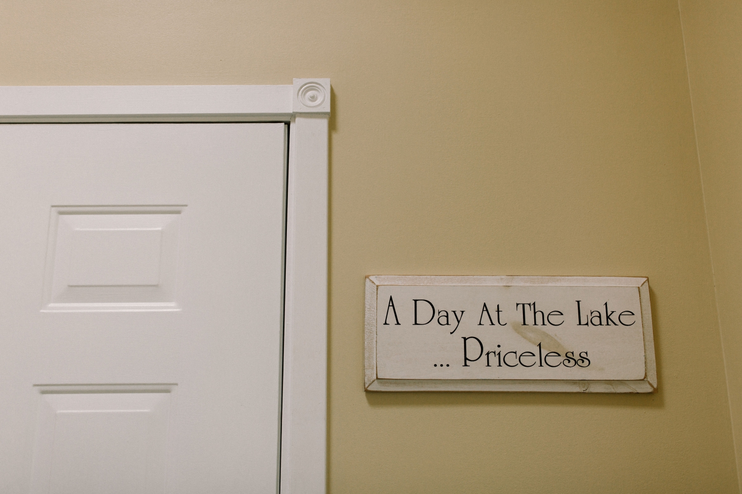 Michigan Frontyard Lake Wedding - Lauren Crawford Photography-29.jpg