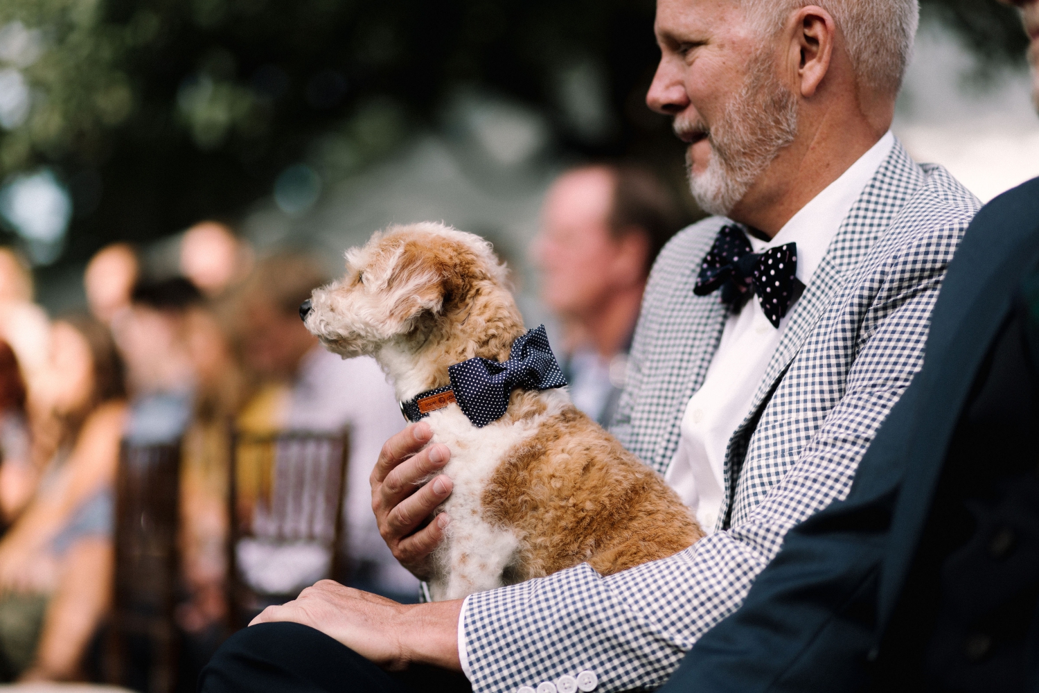 Michigan Frontyard Lake Wedding - Lauren Crawford Photography-605.jpg