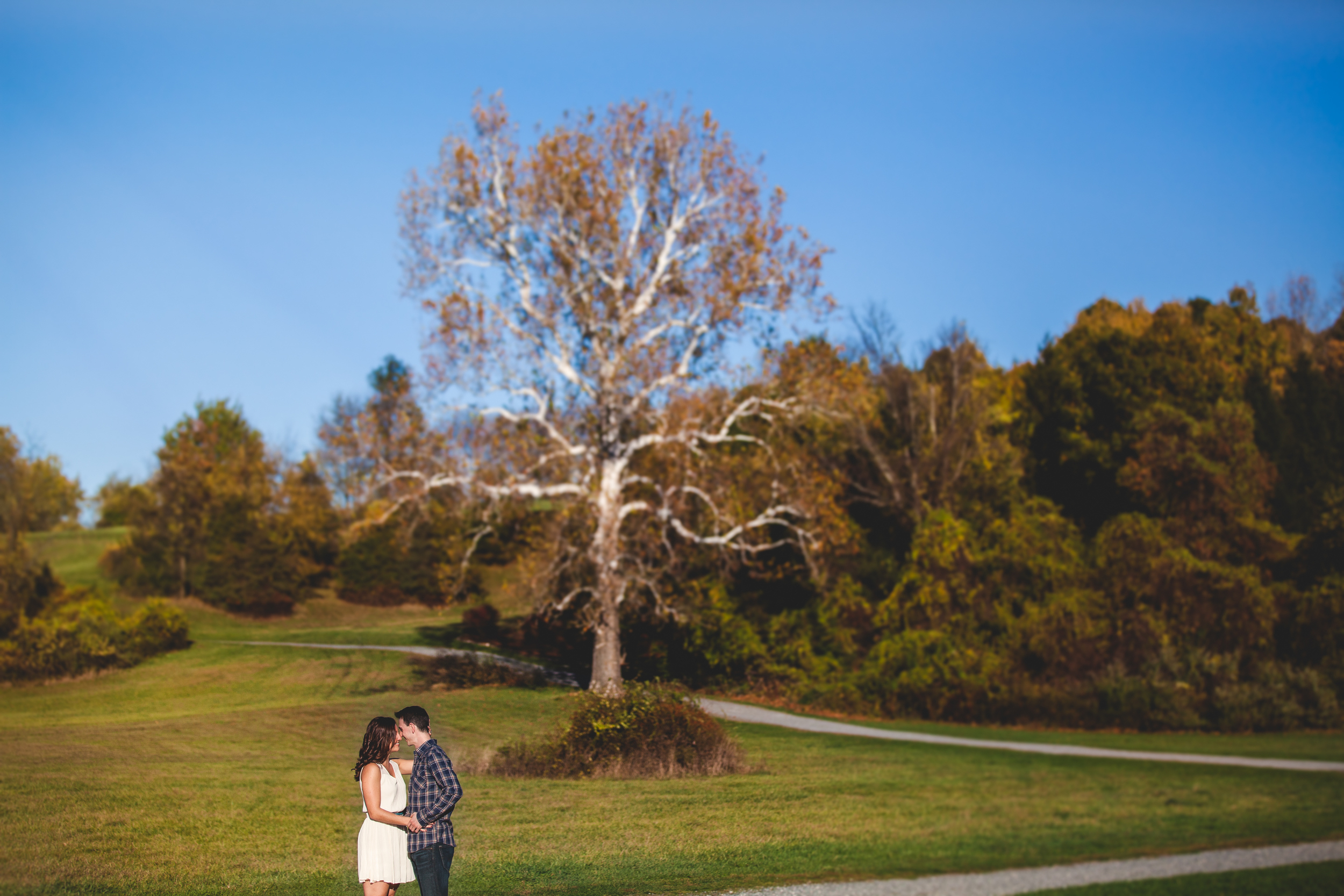 A couple kissing in a park with a large tree and green grass on a clear day.