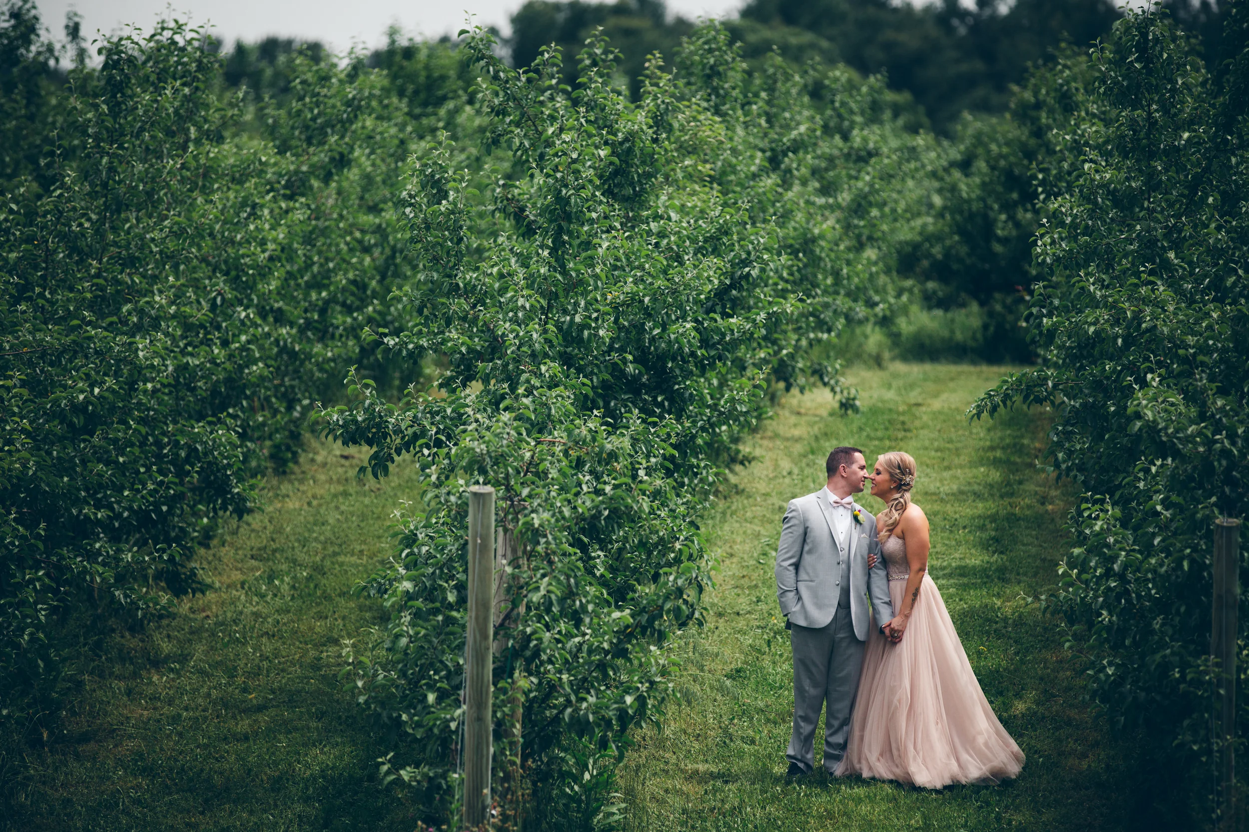 PhotographybyAmandaMorgan-blog-79.jpg