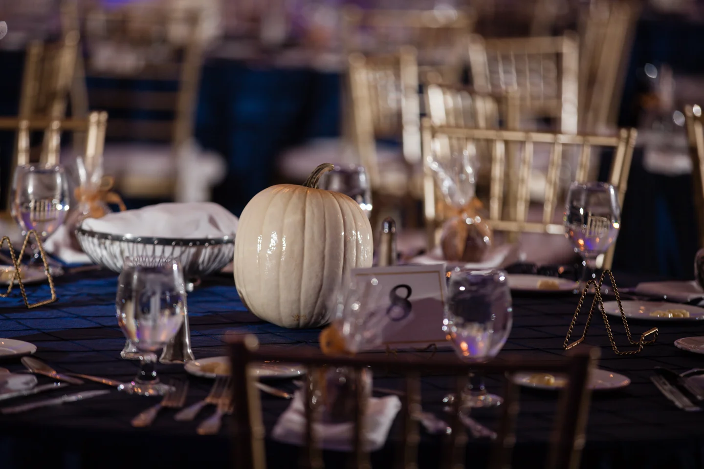 PhotographybyAmandaMorgan-57.jpg