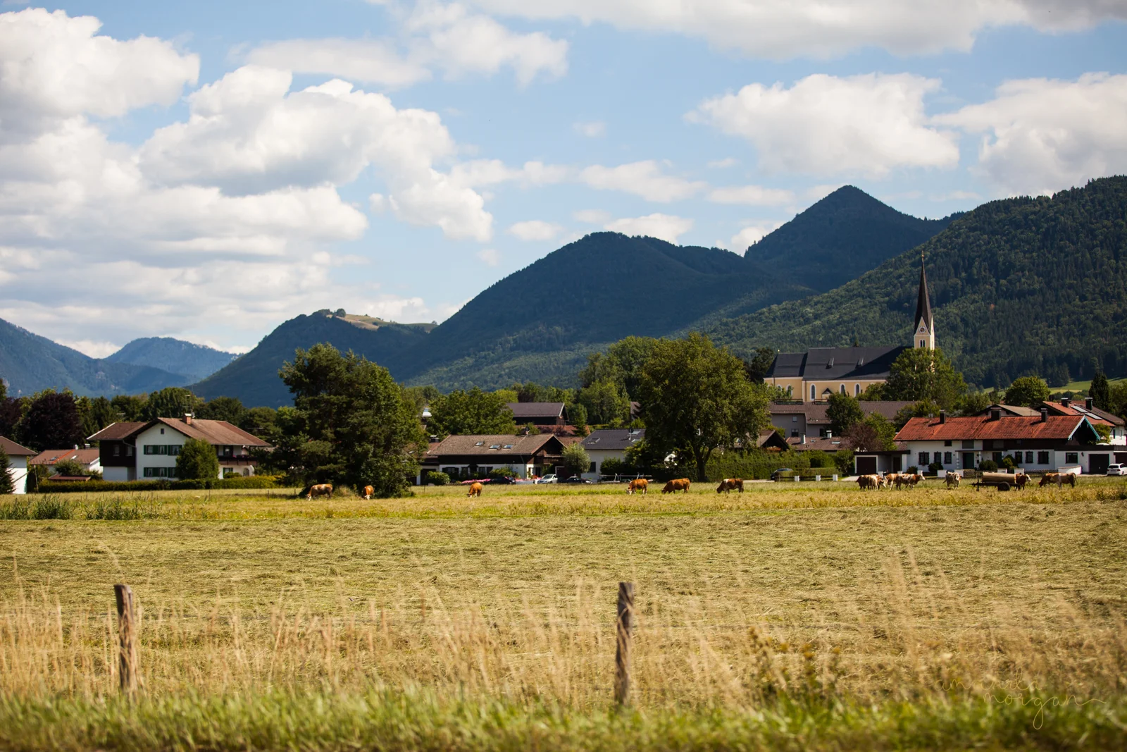 Germany-Wedding-Amanda-Morgan-12.jpg