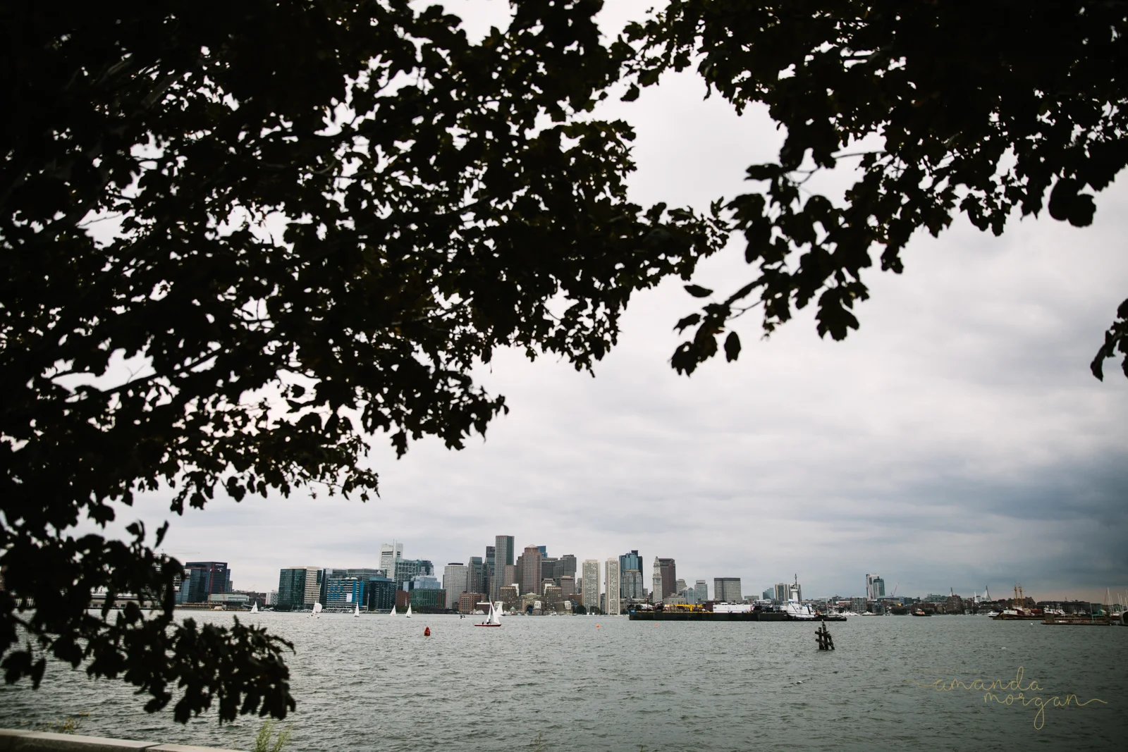 Hyatt-Regency-Boston-Harbor-Wedding-Amanda-Morgan-1.jpg