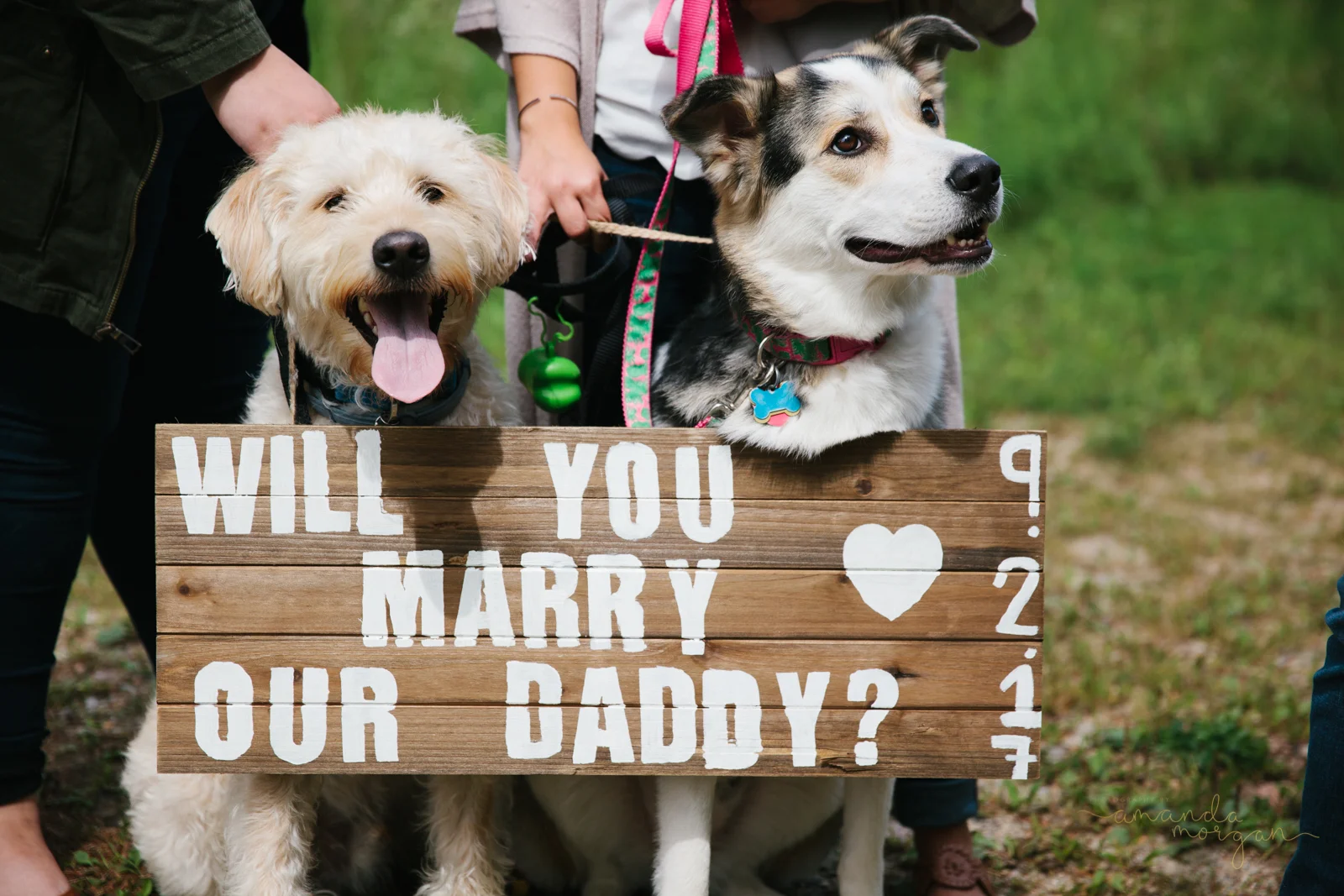 Surprise Proposal | Fairhaven MA | Cody & Veronica