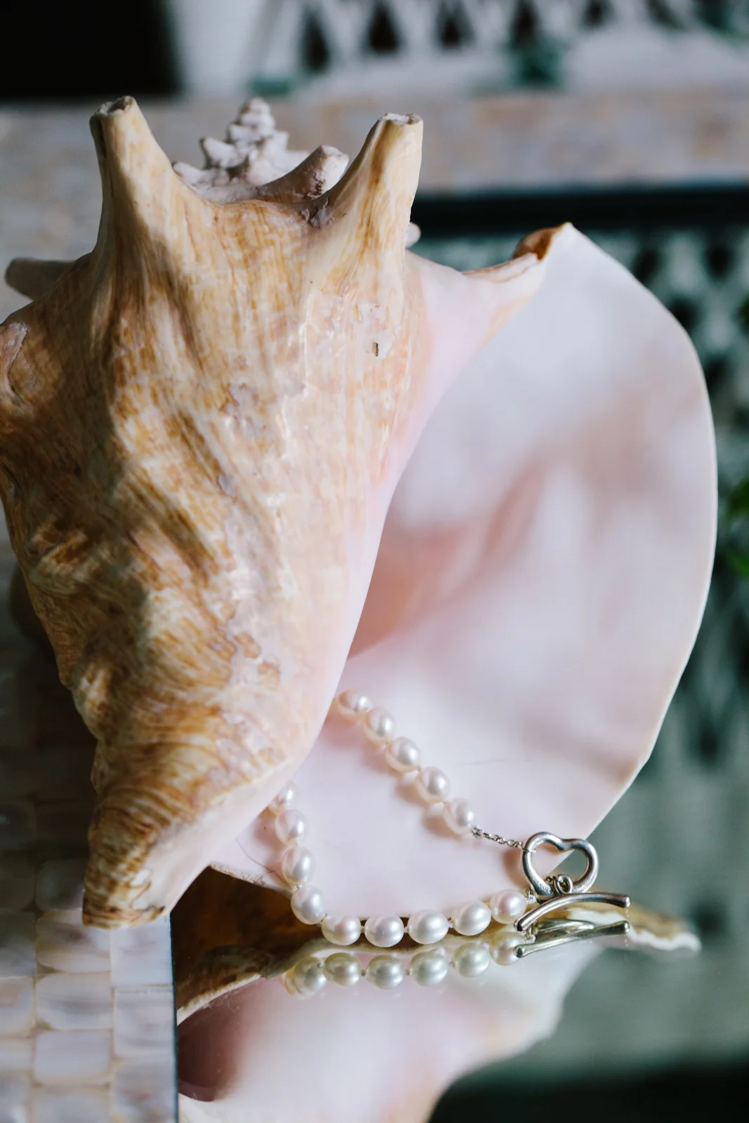 A shell with a pearl necklace draped over it on a reflective surface.