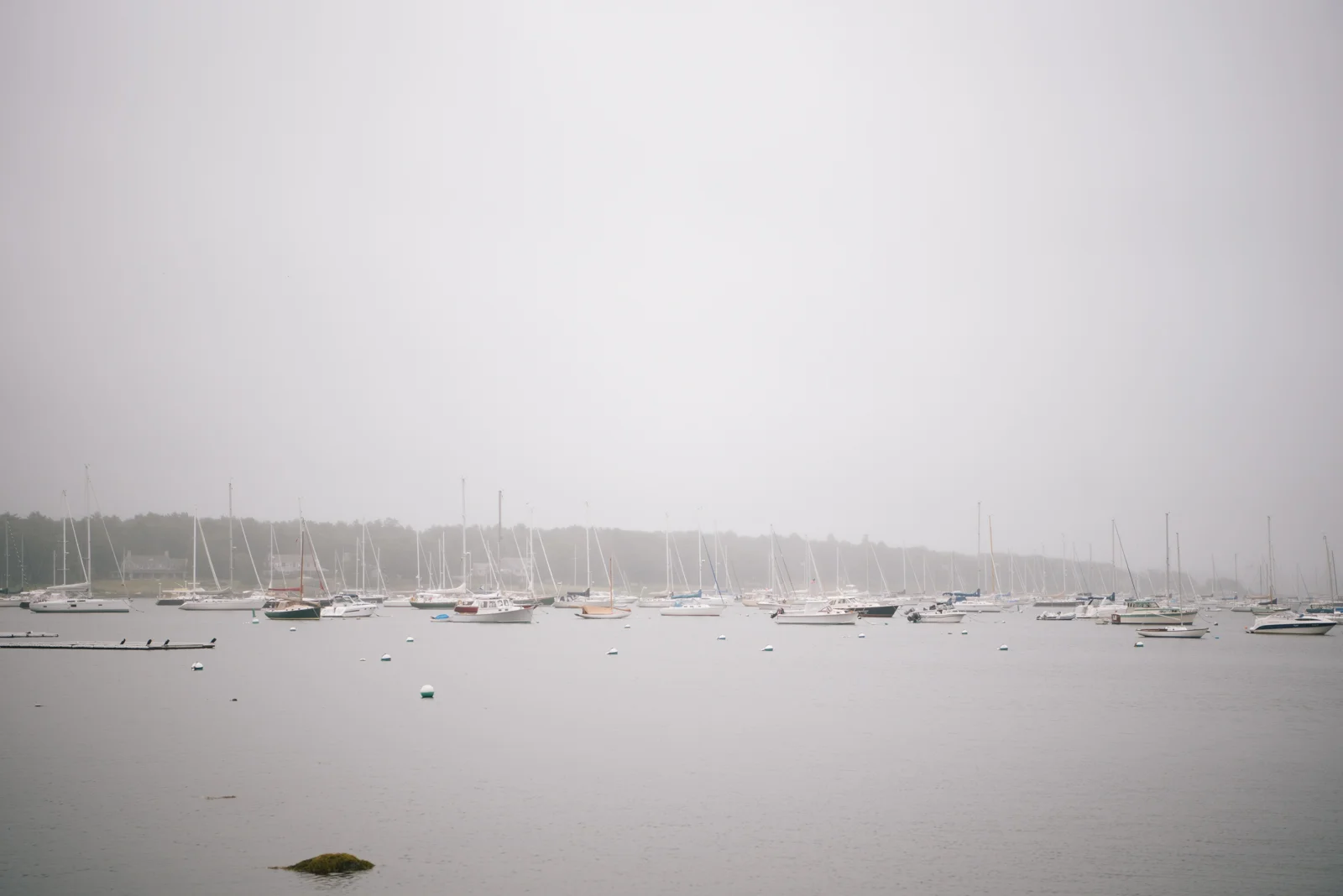 A harbor filled with sailboats and yachts on a foggy day.