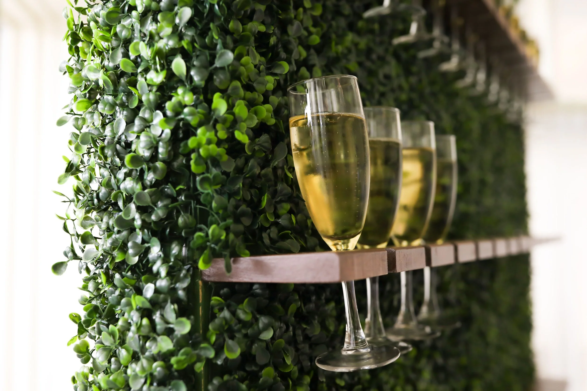 Several glasses of champagne on a wooden shelf against a green leafy wall.
