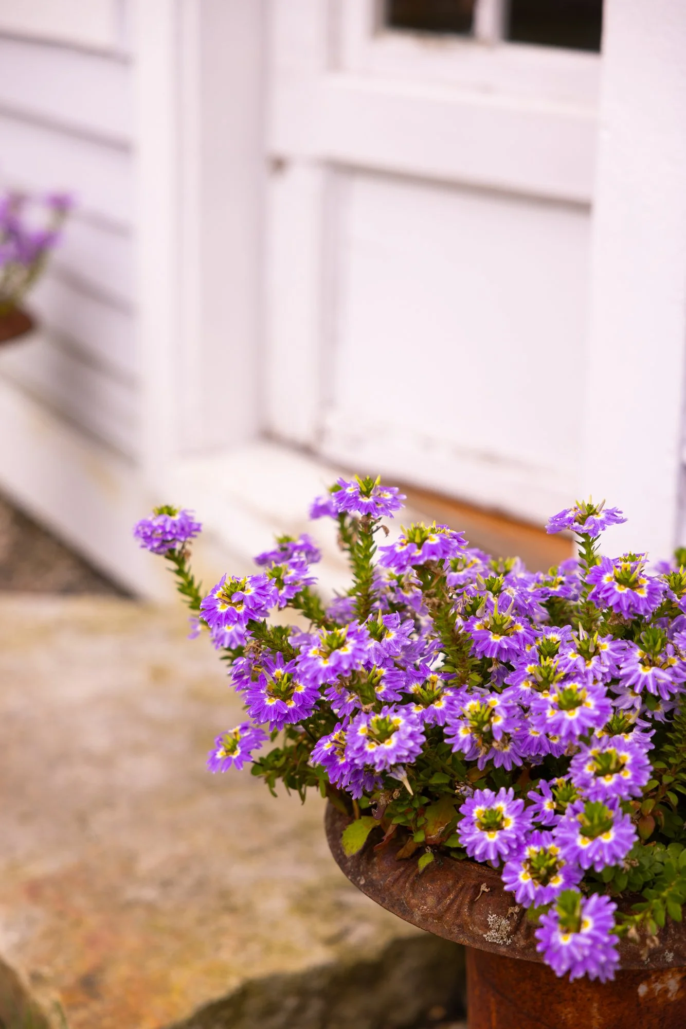 AmorganStudios-WeddingPhotography-Maine-2024-BarnWedding-MikeandJill-8.jpg
