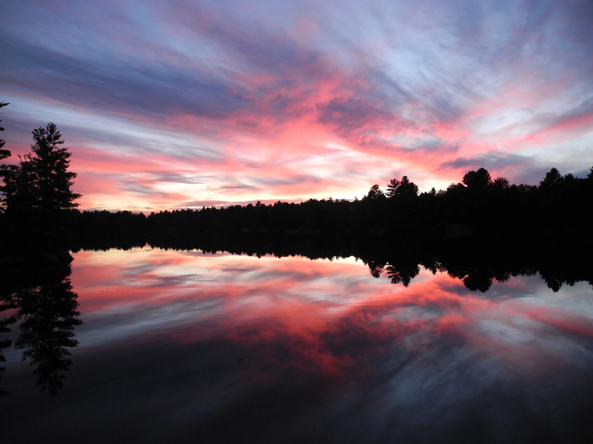 emily reed_psychotherapist.JPG