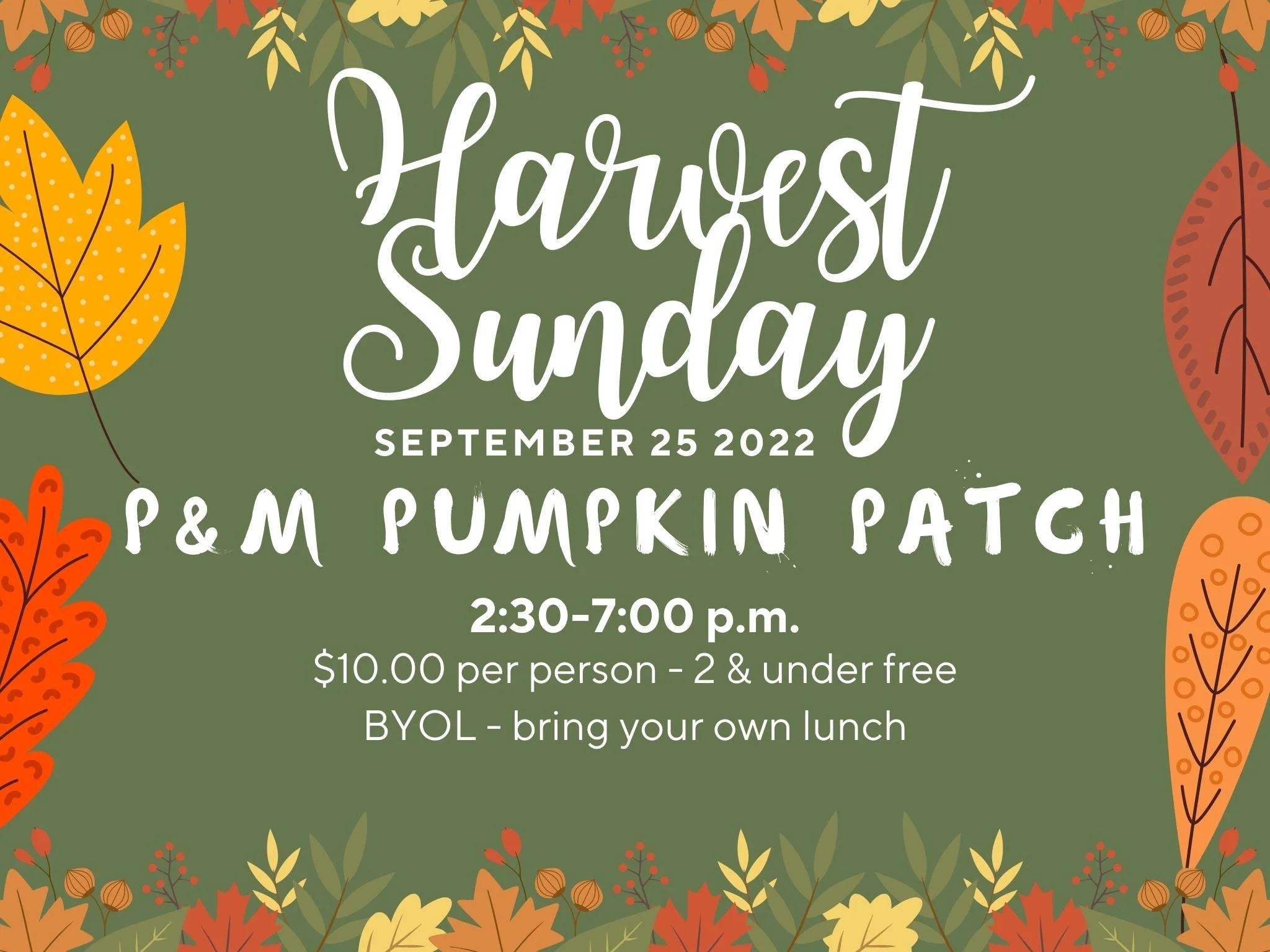 HARVEST SUNDAY