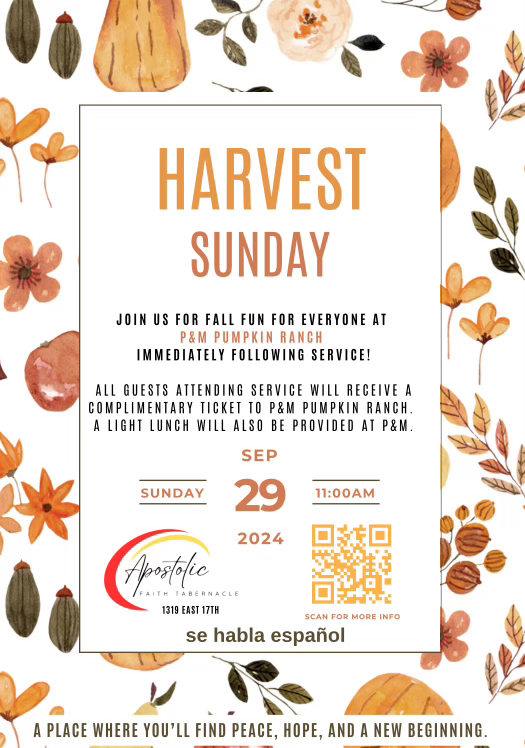 Harvest Sunday!