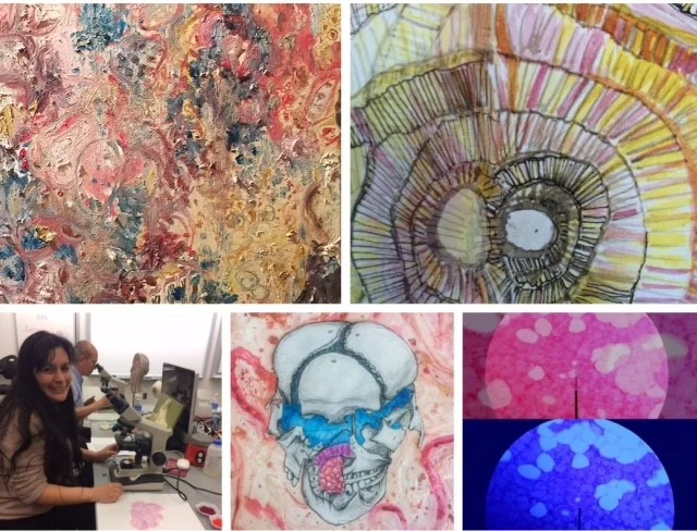 Natural Selections Art Exhibit - Mercy College Art Gallery 