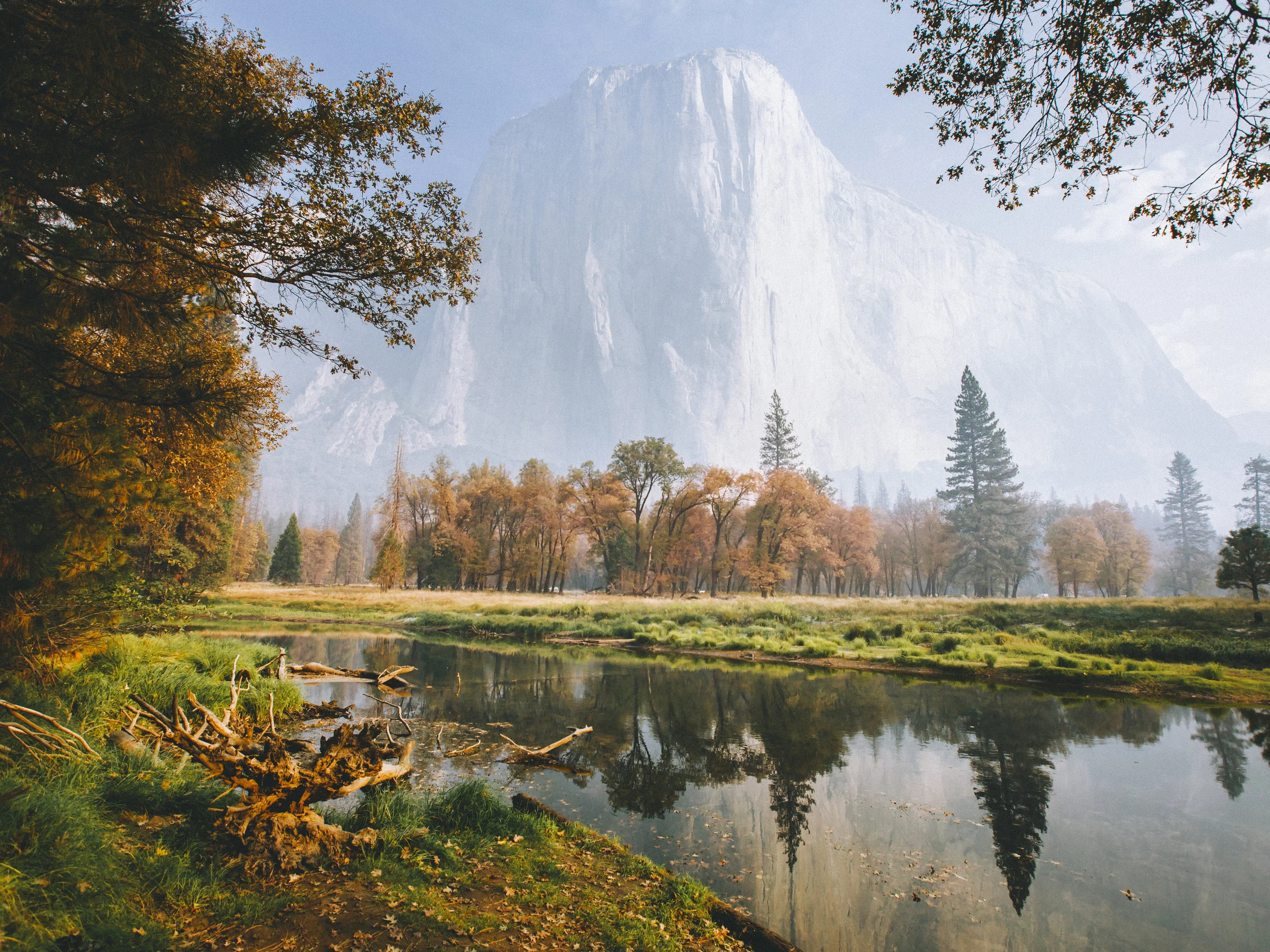 _MG_5072_for Bonnie-2.jpg