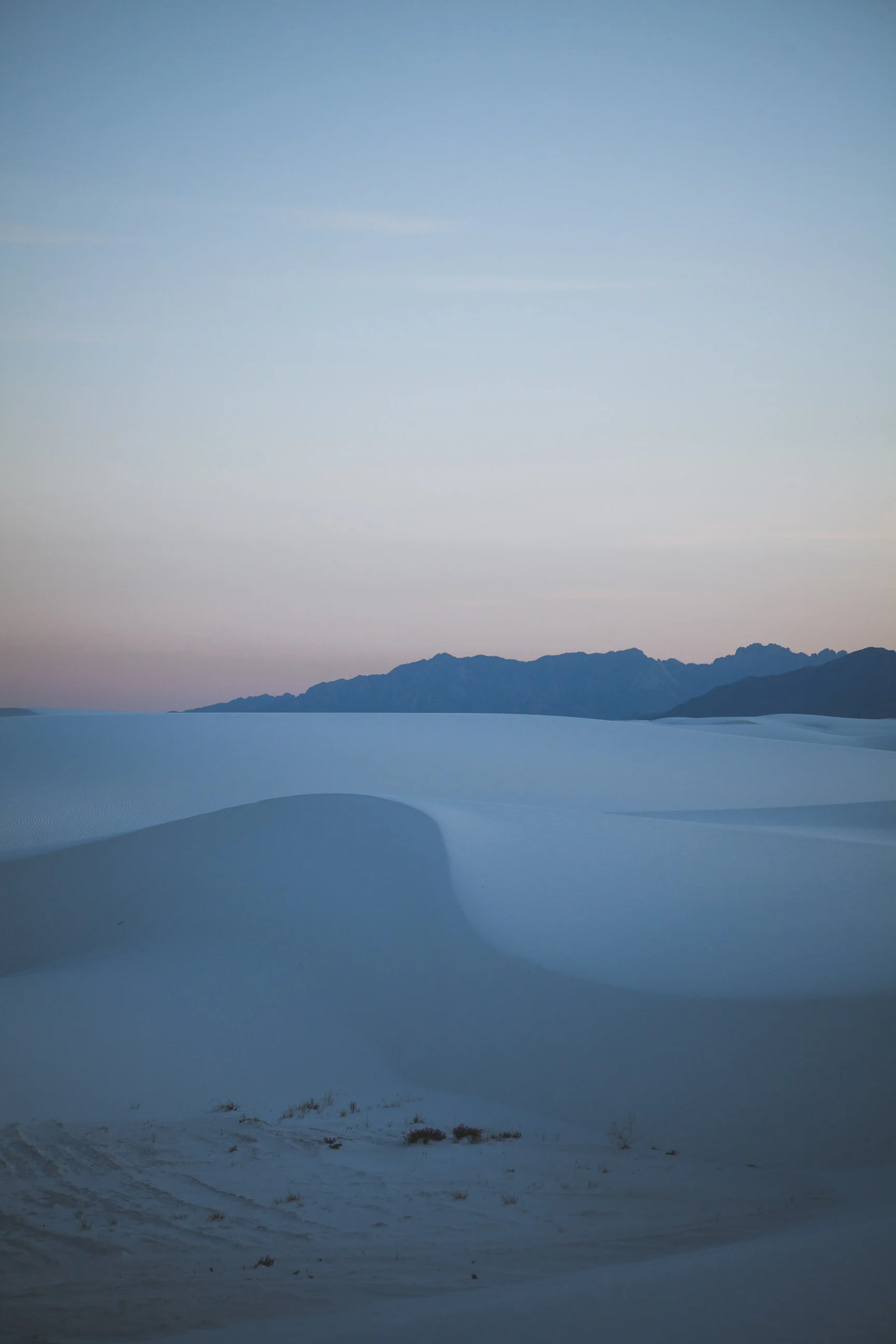 _MG_9248.jpg