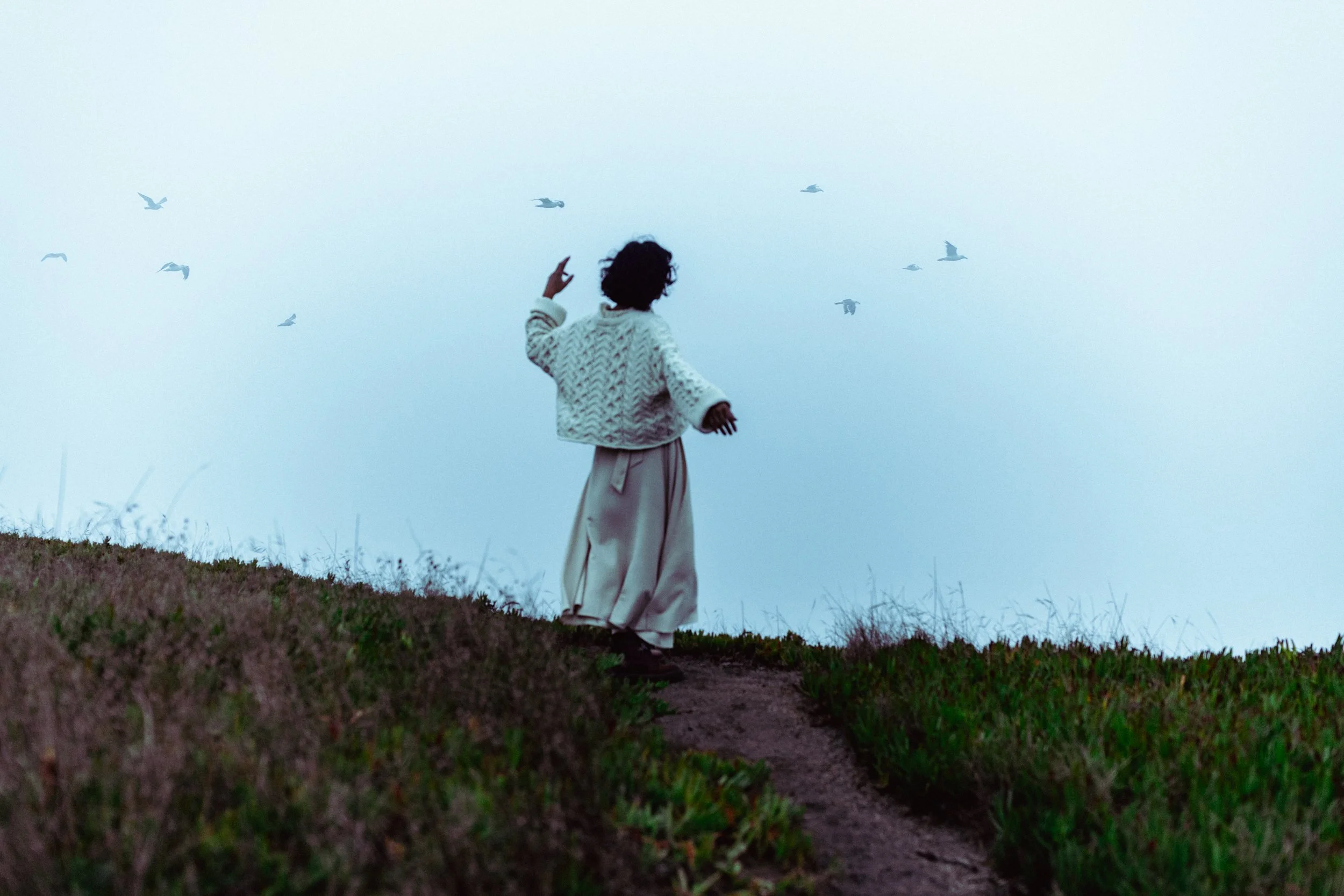 9.24.25_SonomaCo_IP_RR_Director's Cut_150 PPI-0003.jpg