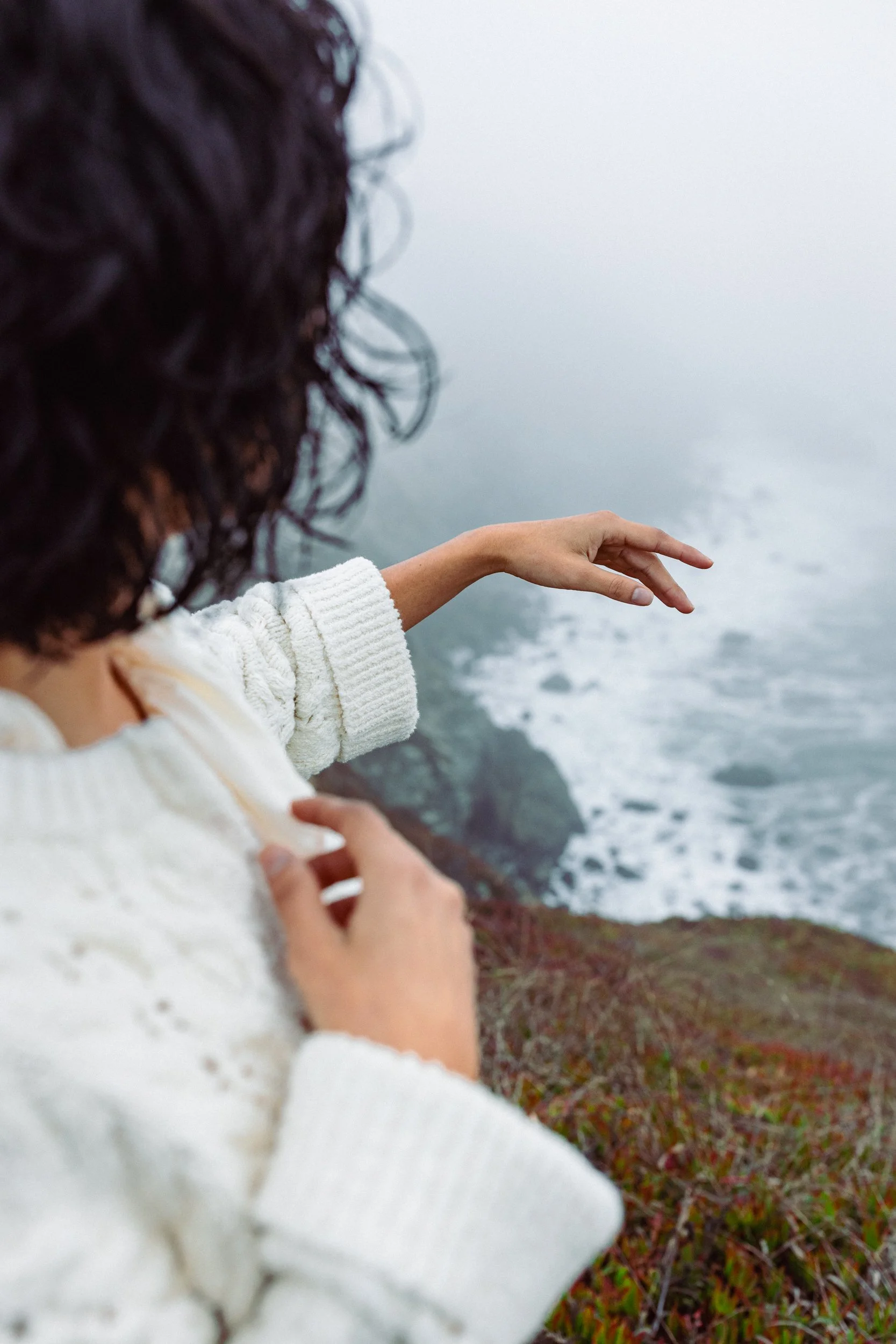 9.24.25_SonomaCo_IP_RR_Director's Cut_150 PPI-0715.jpg