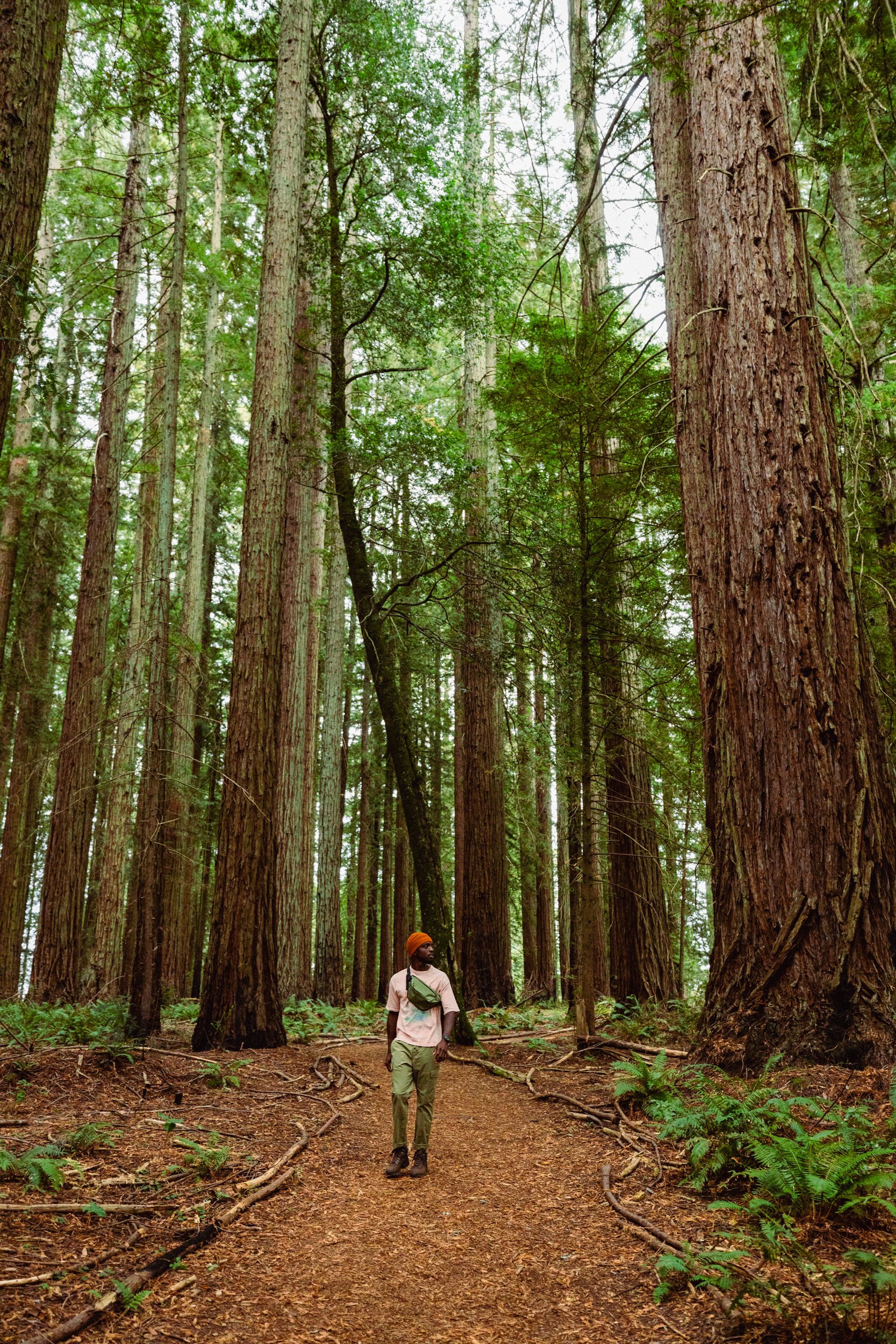 9.24.25_SonomaCo_IP_RR_Finals_150 PPI-3990.jpg