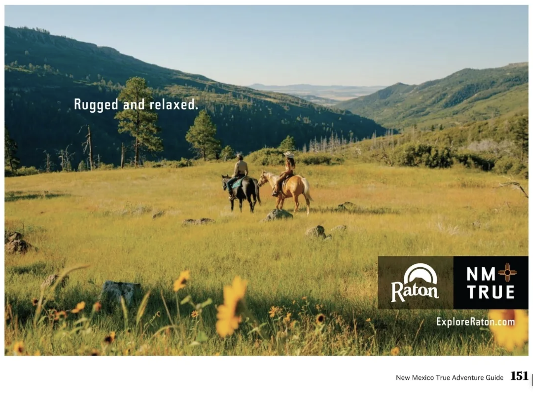 NMTD FY24 Raton POP : OOH asset.png