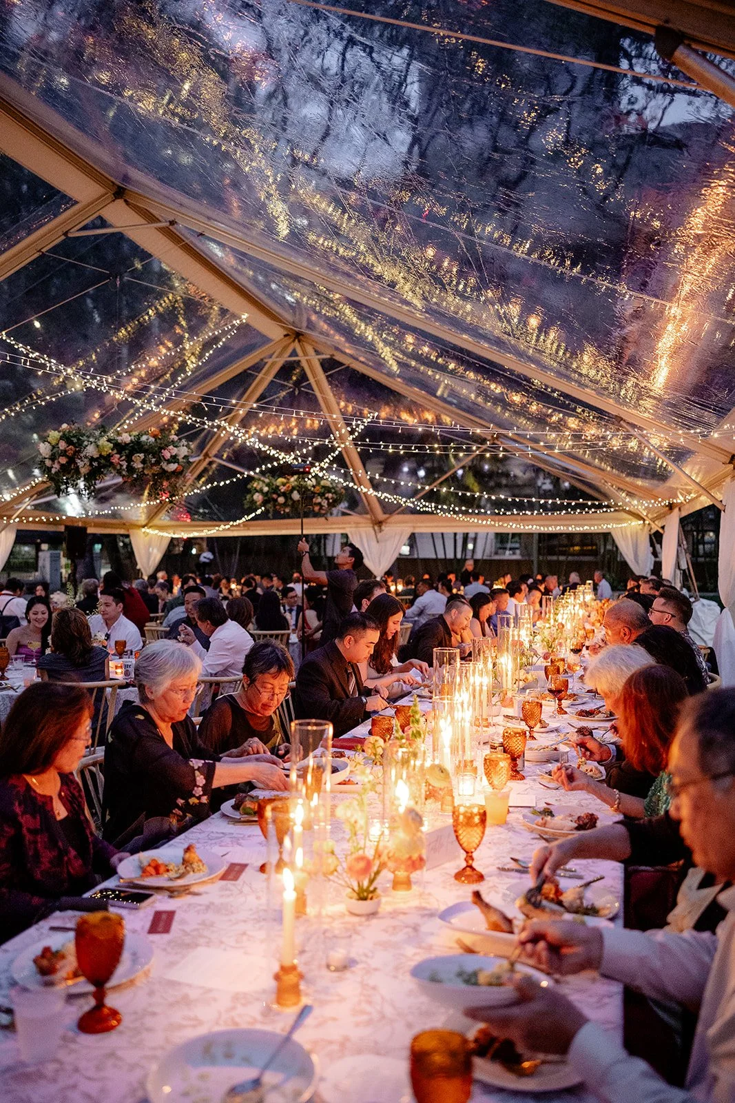 clear top tent with string lights