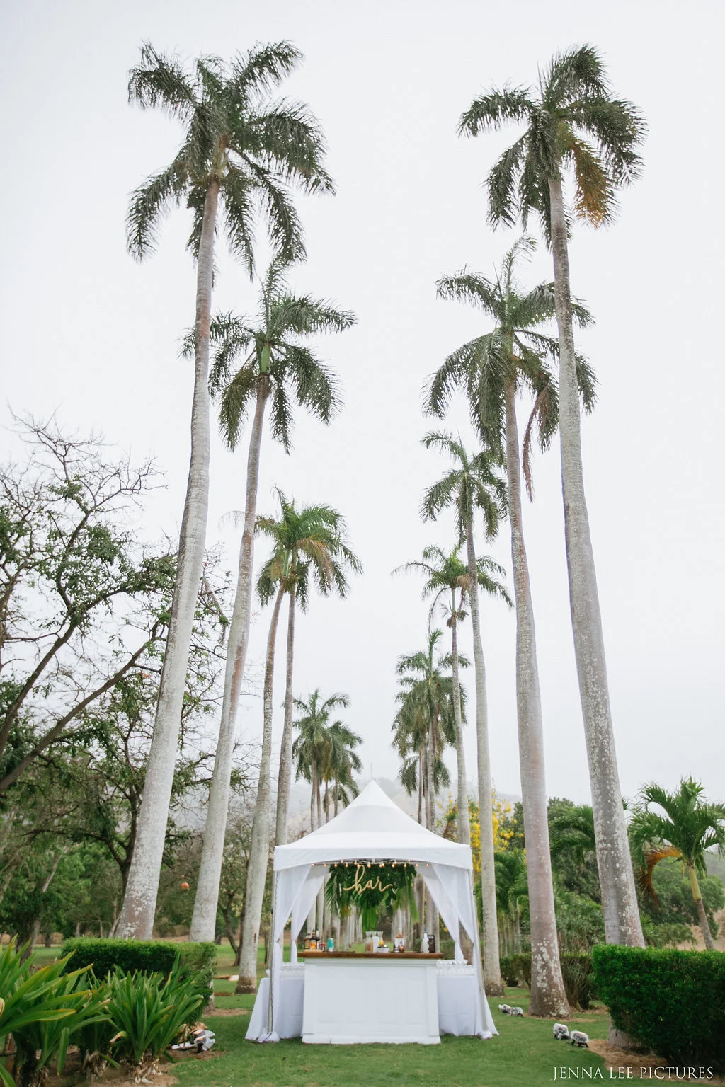 JennaLeePictures(1of1)-10.jpg