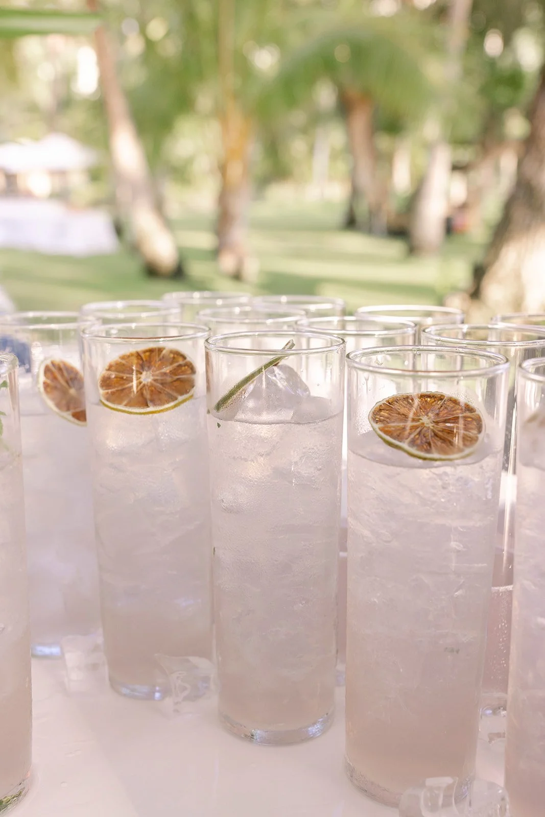 lavender spritz signature cocktails