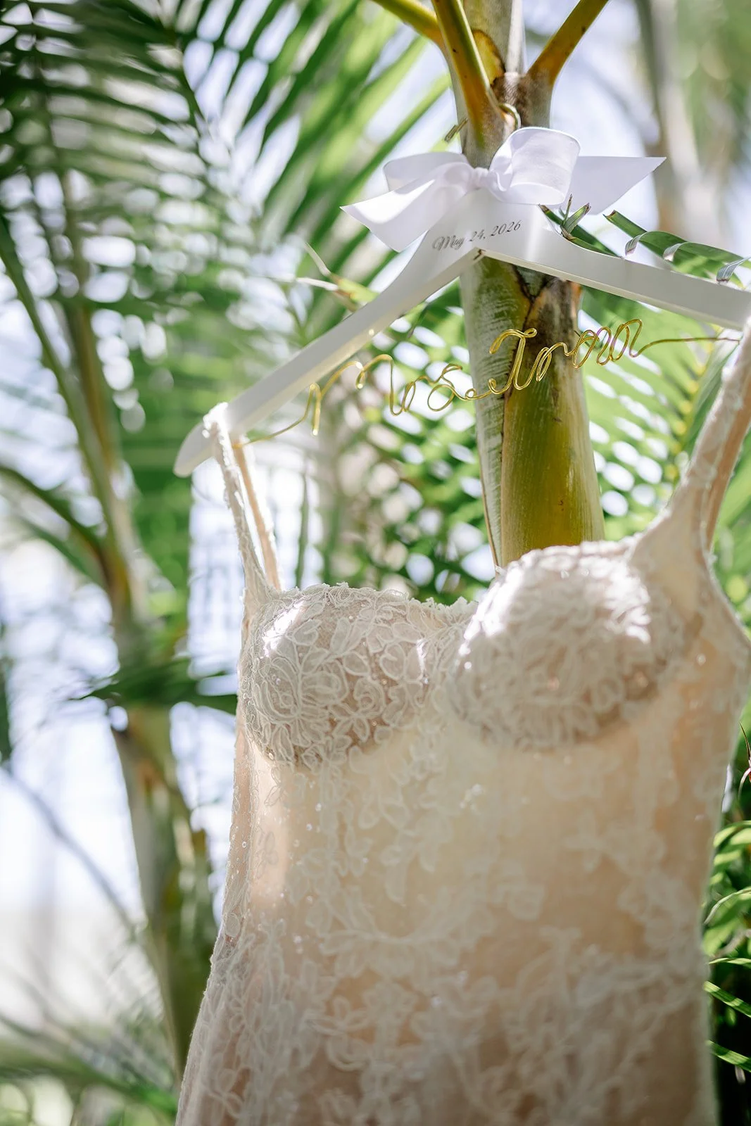 wedding dress with custom hanger hanging on palm tree