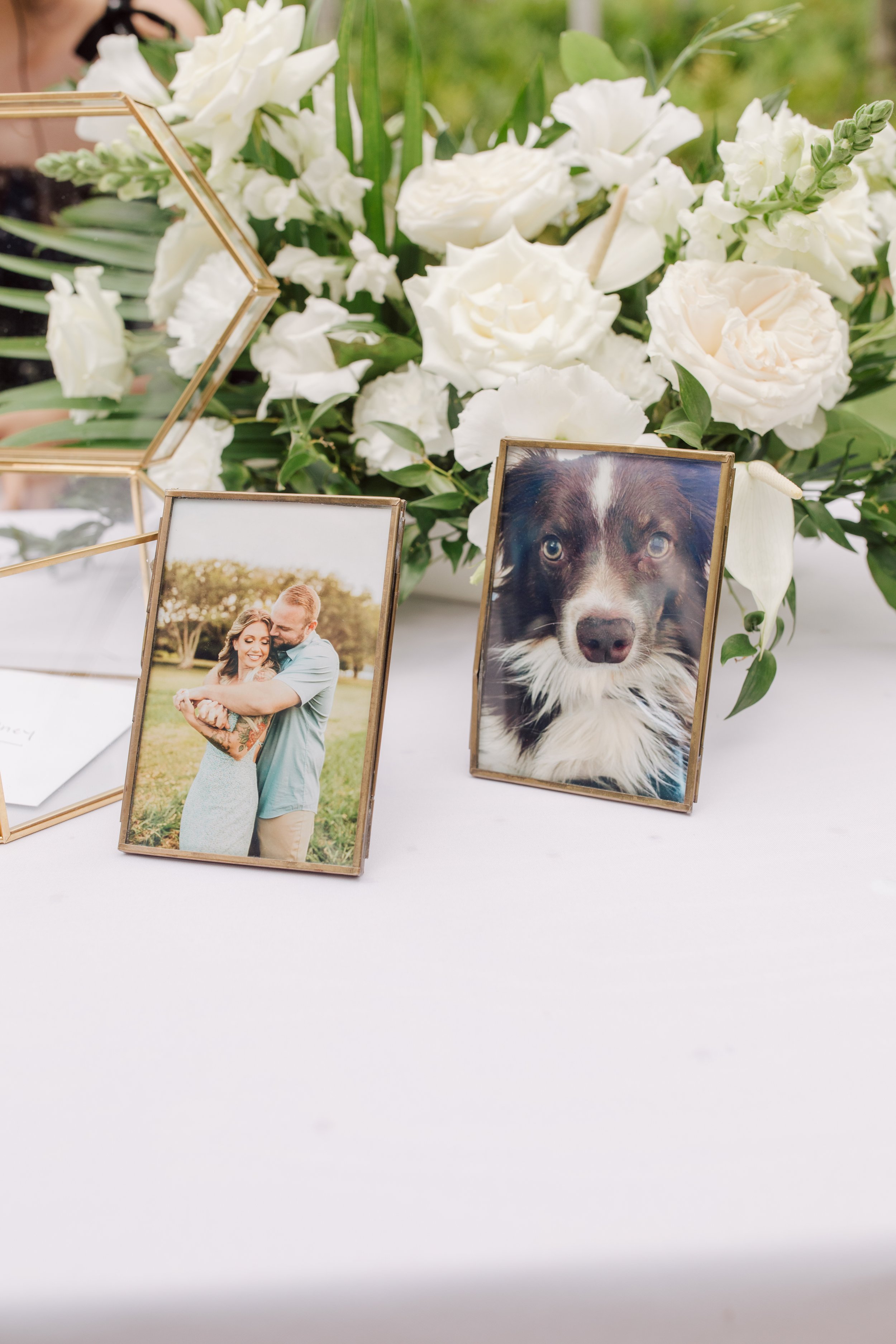 INCORPORATING YOUR FUR BABIES IN YOUR WEDDING — Love Letter Weddings