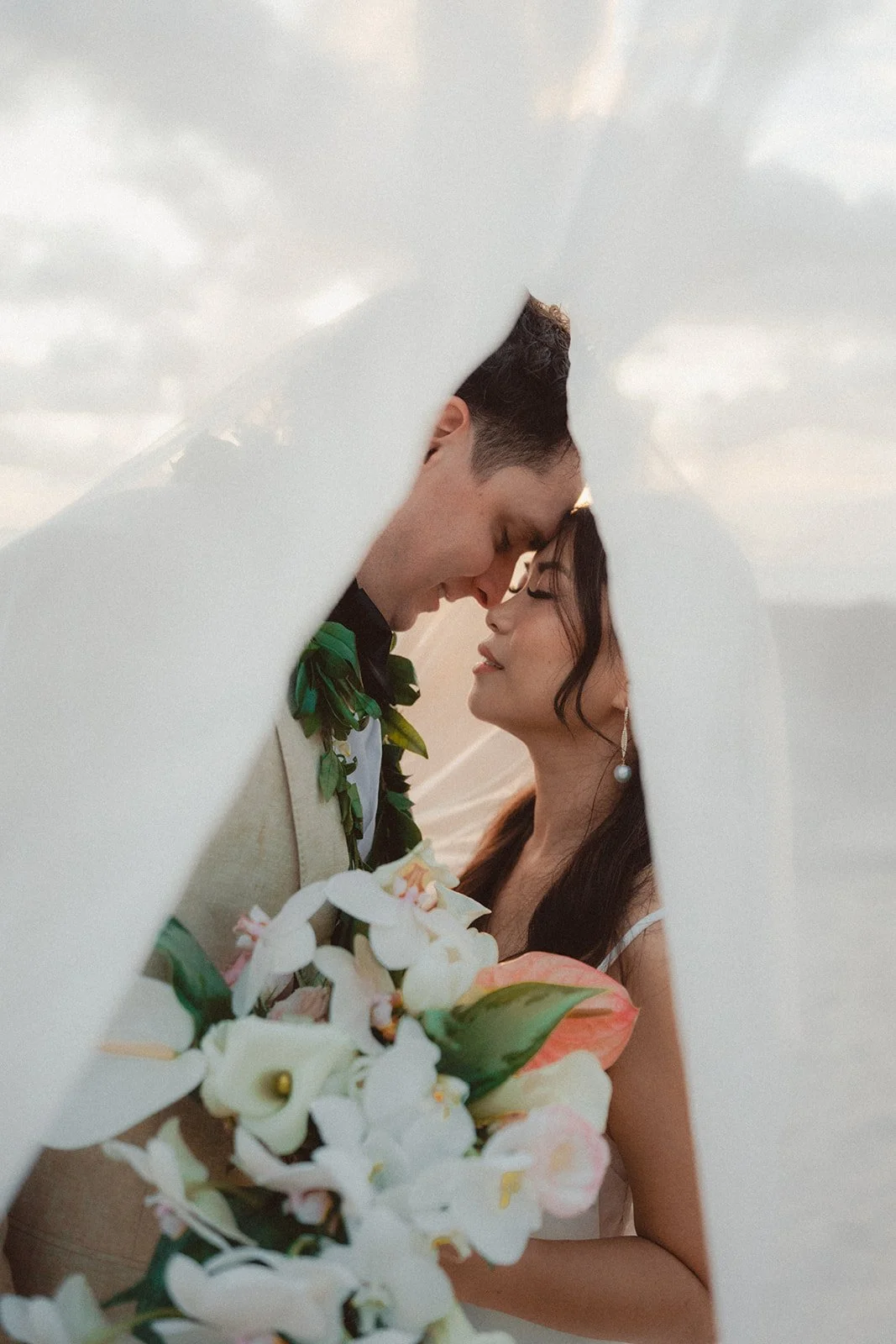 bride and groom under veil