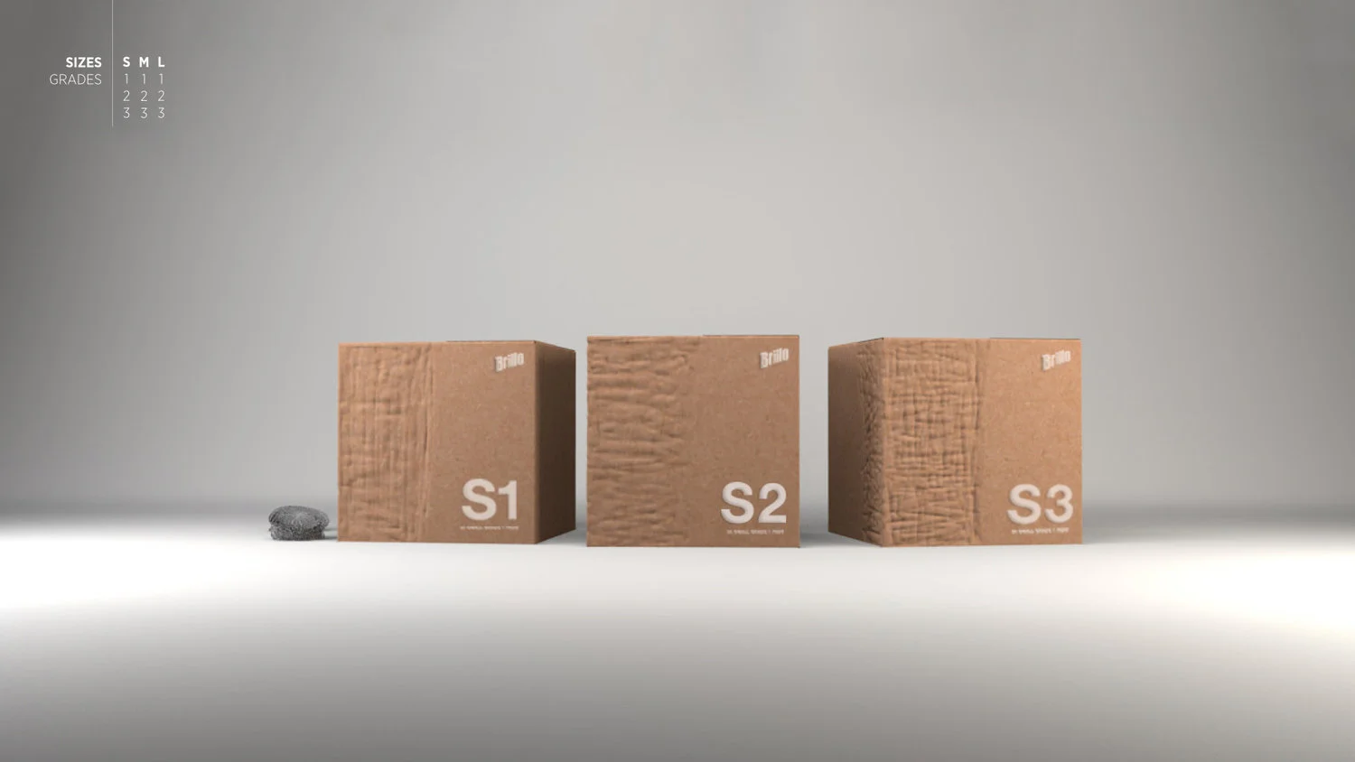 BrilloPackaging.jpg