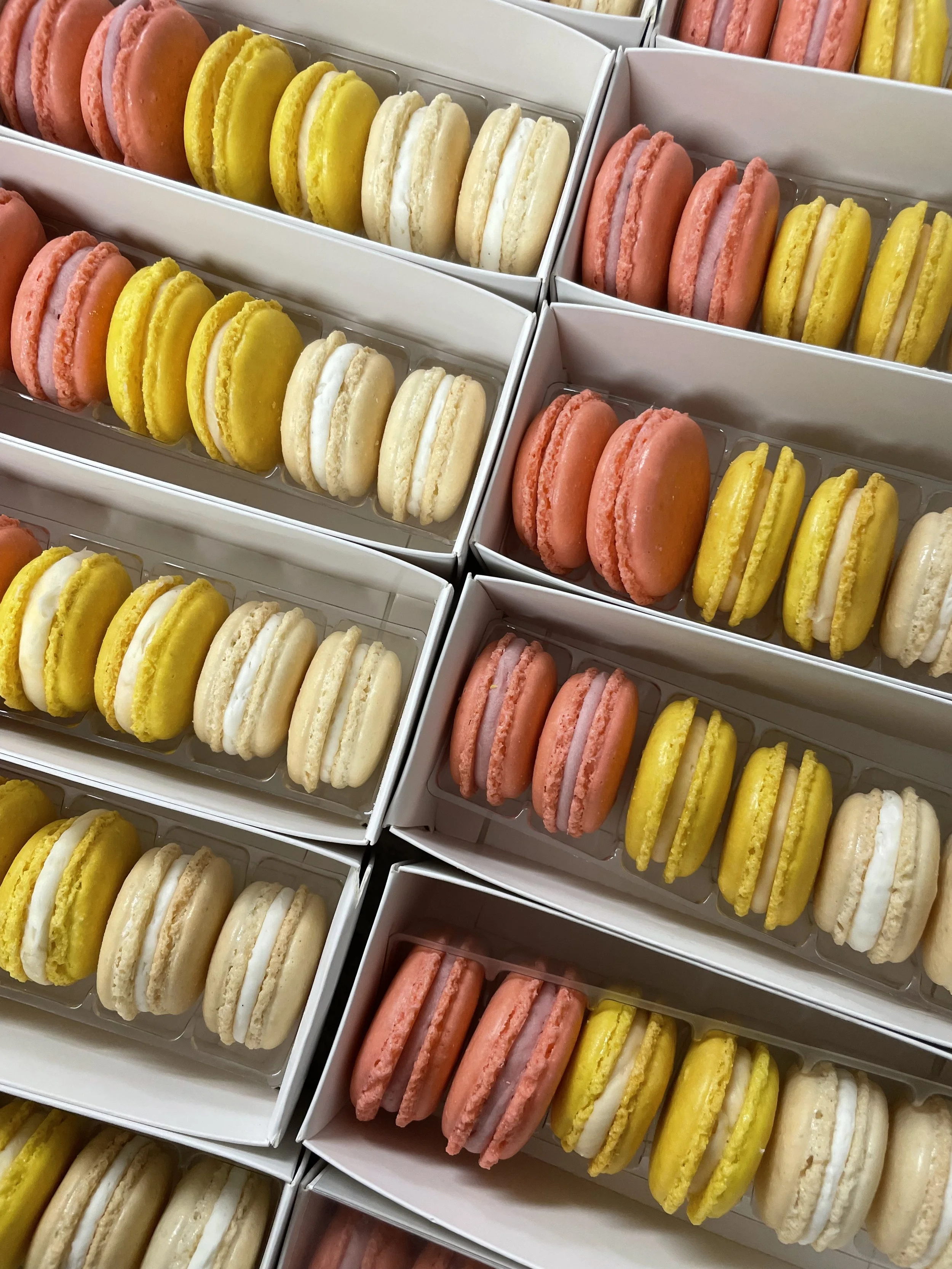 2022-07-01 16.41.32.jpg