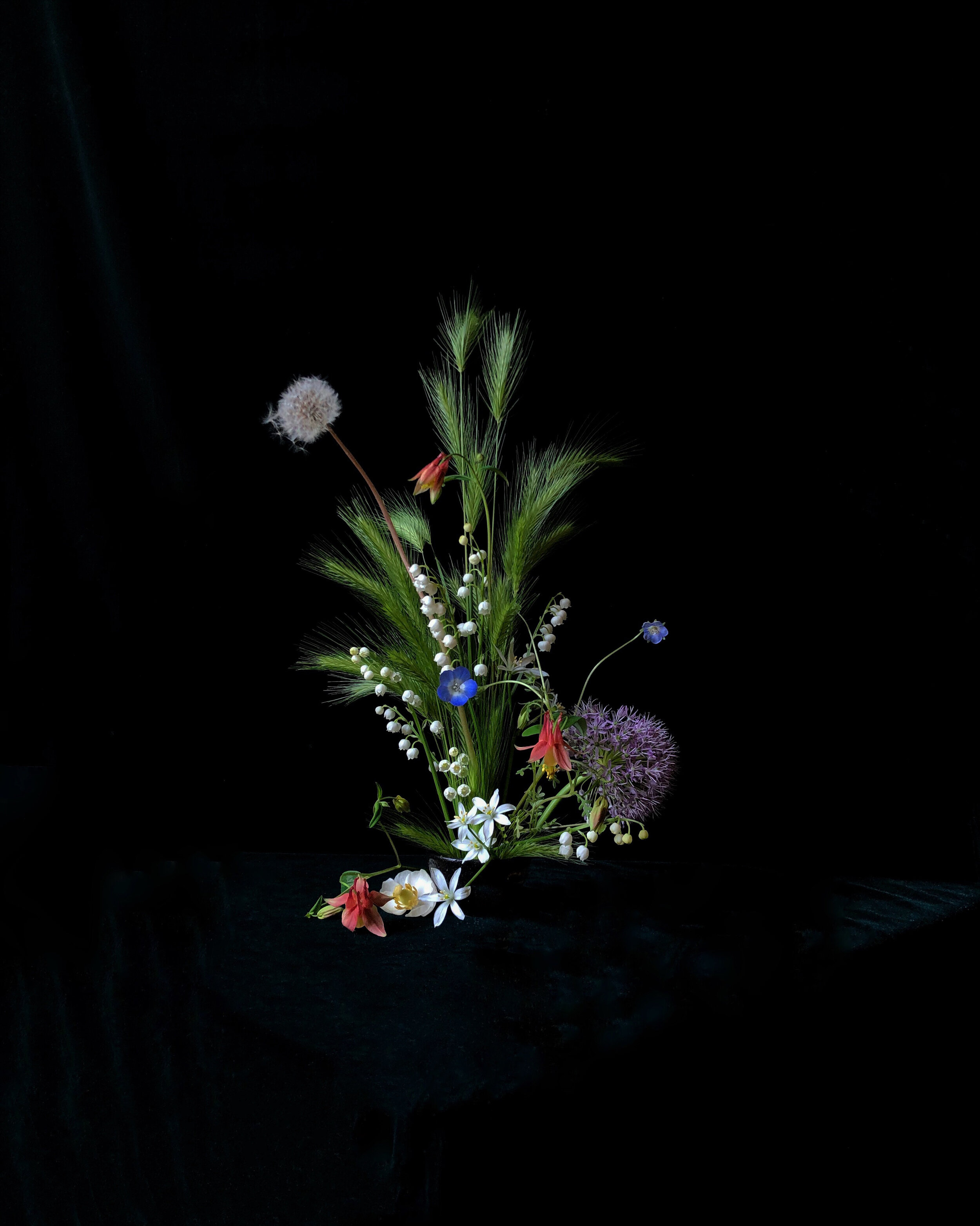 original1(instagram version).JPG